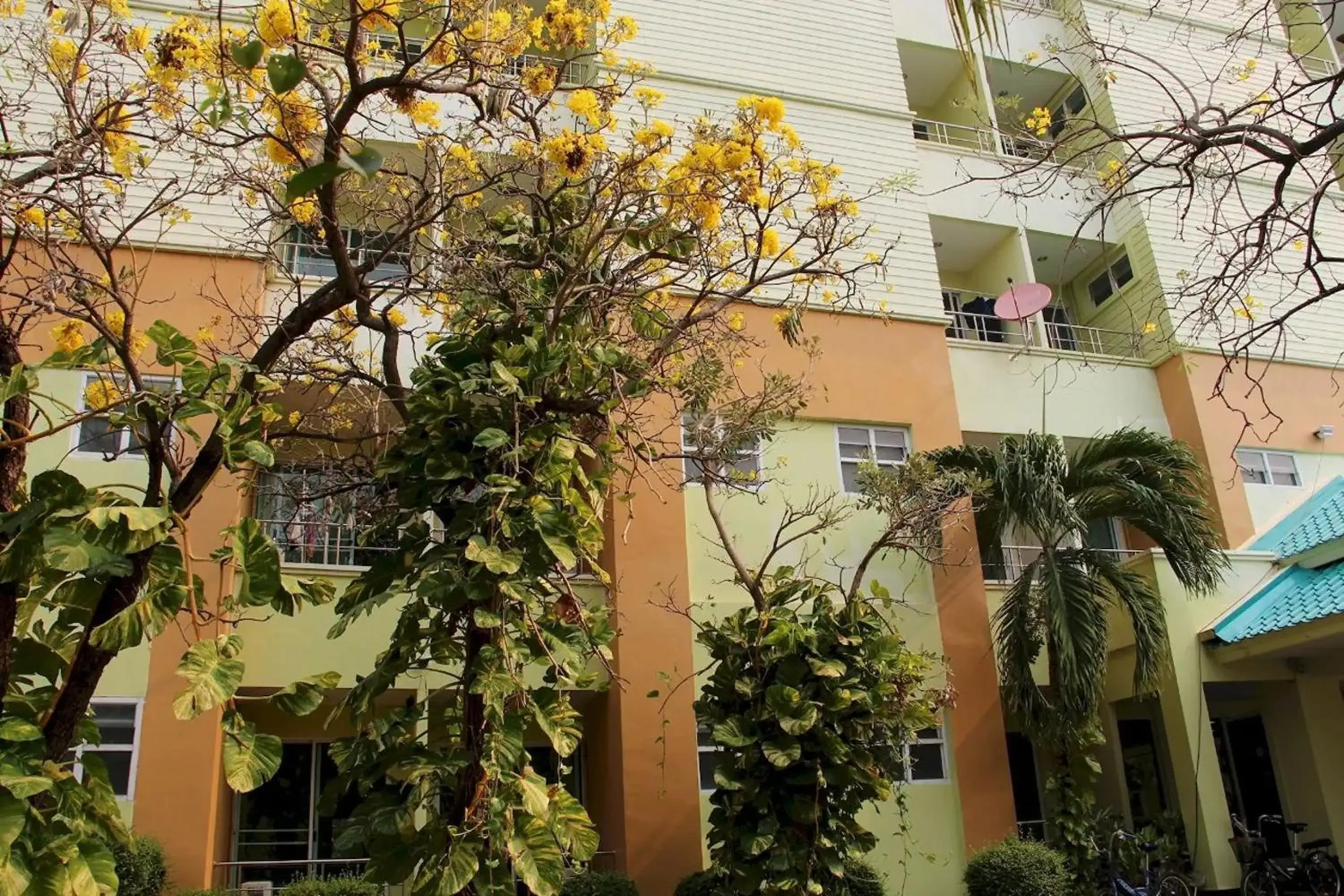 Property building in Udoncabana Property building in Udoncabana