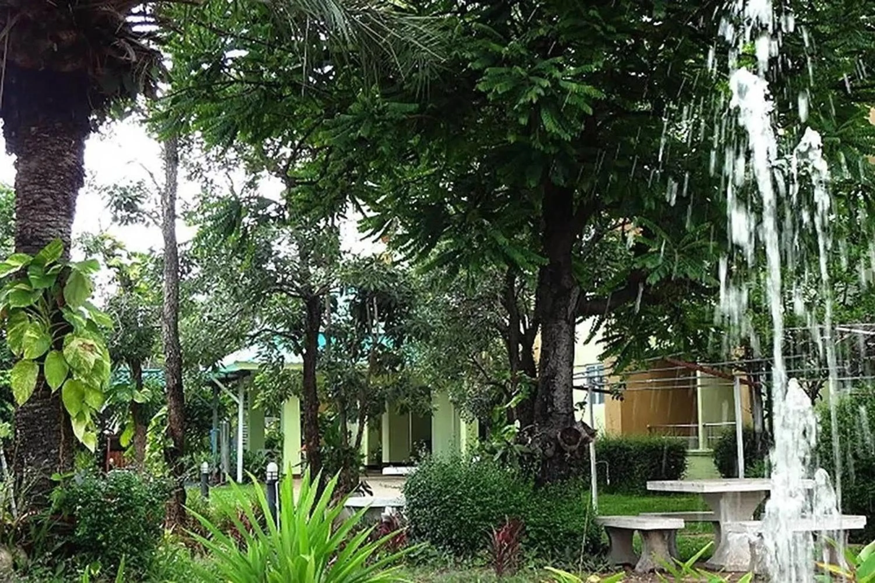 Garden in Udoncabana