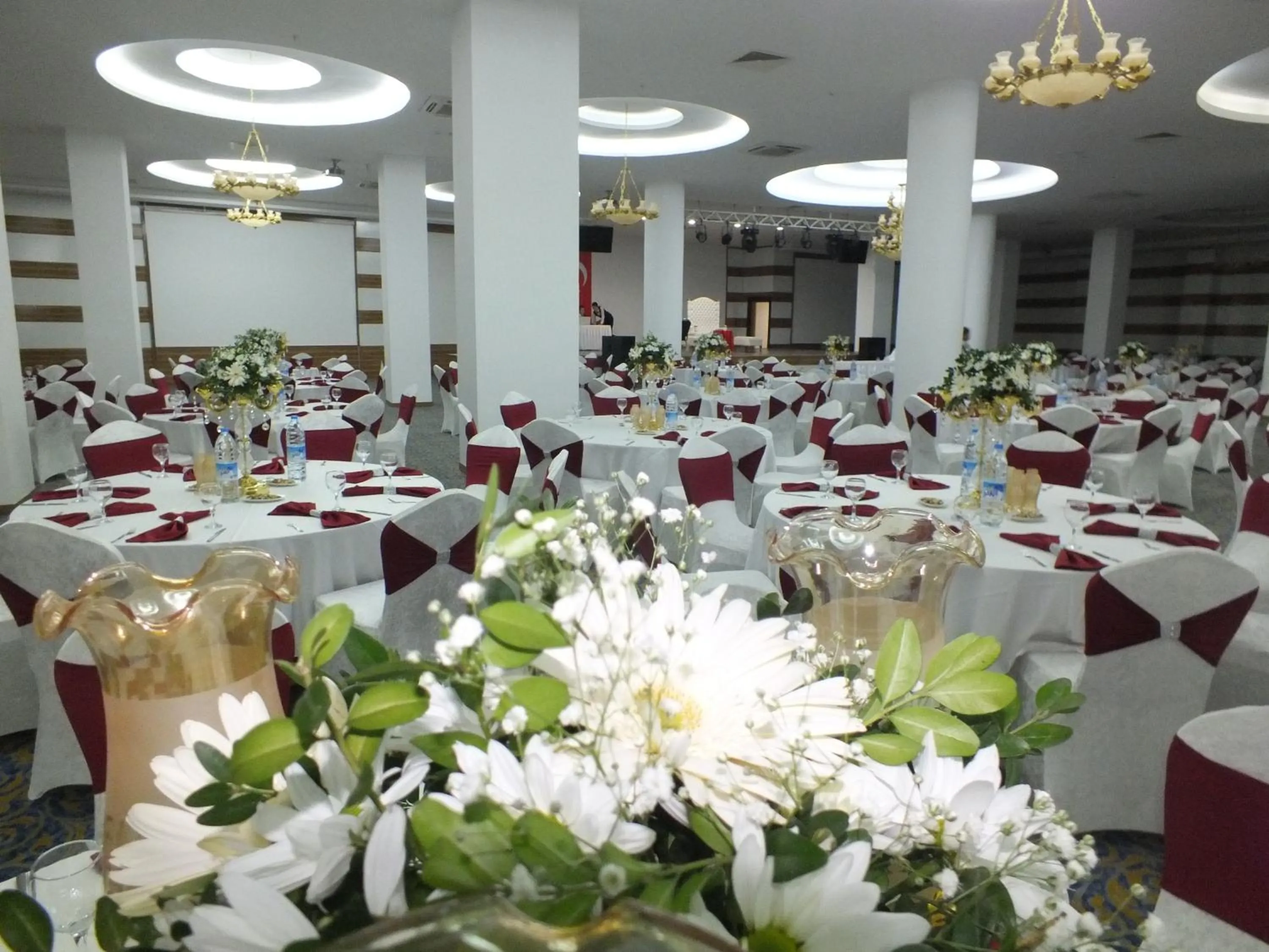 Banquet/Function facilities in Demosan Hotel