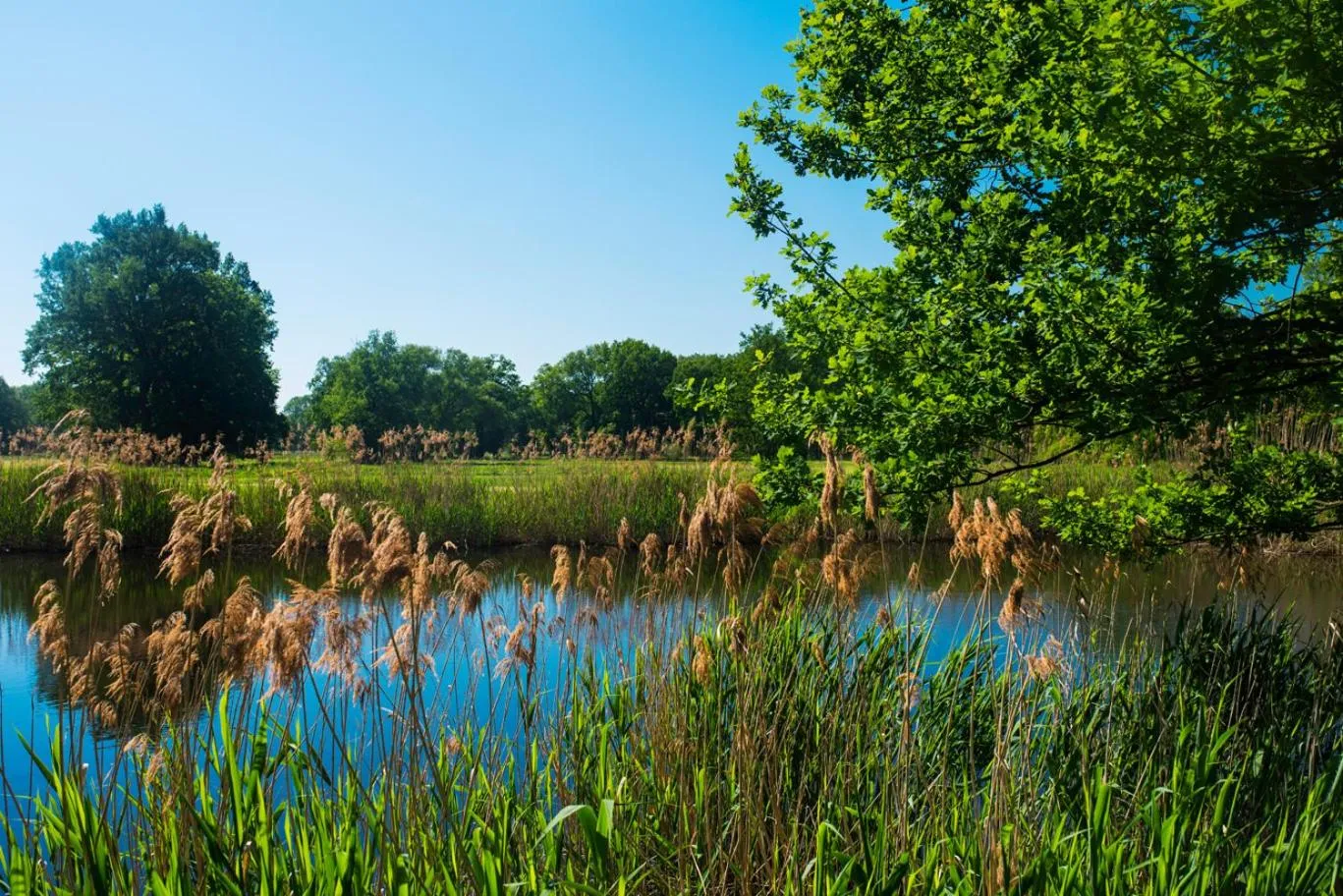 Spring in Pałac Krobielowice