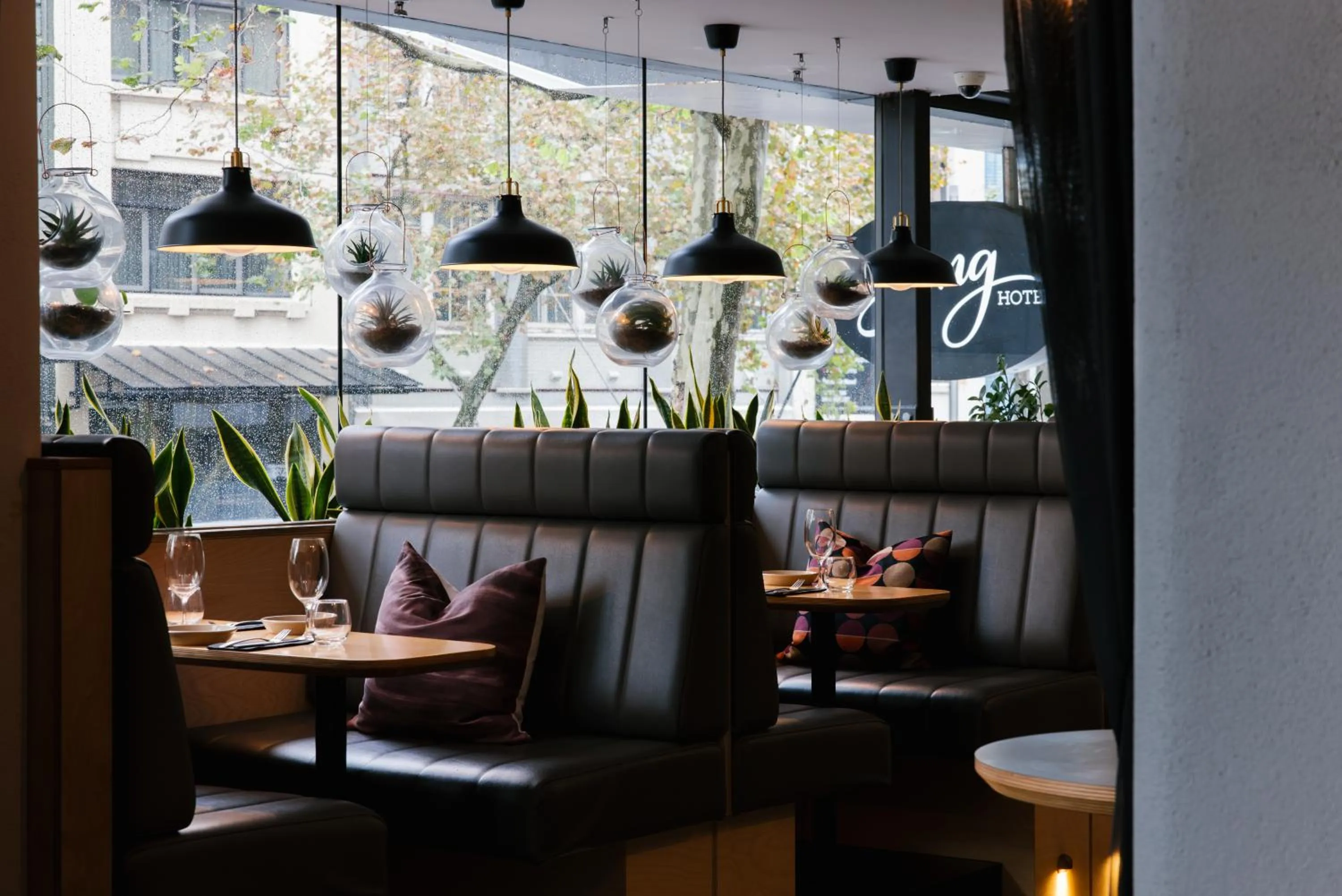 Restaurant/places to eat in Song Hotel Sydney