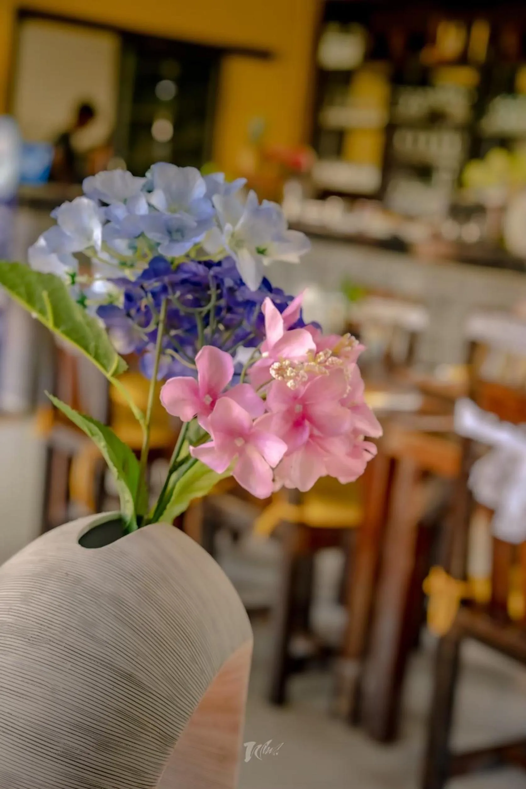 Restaurant/places to eat in Loma Resort