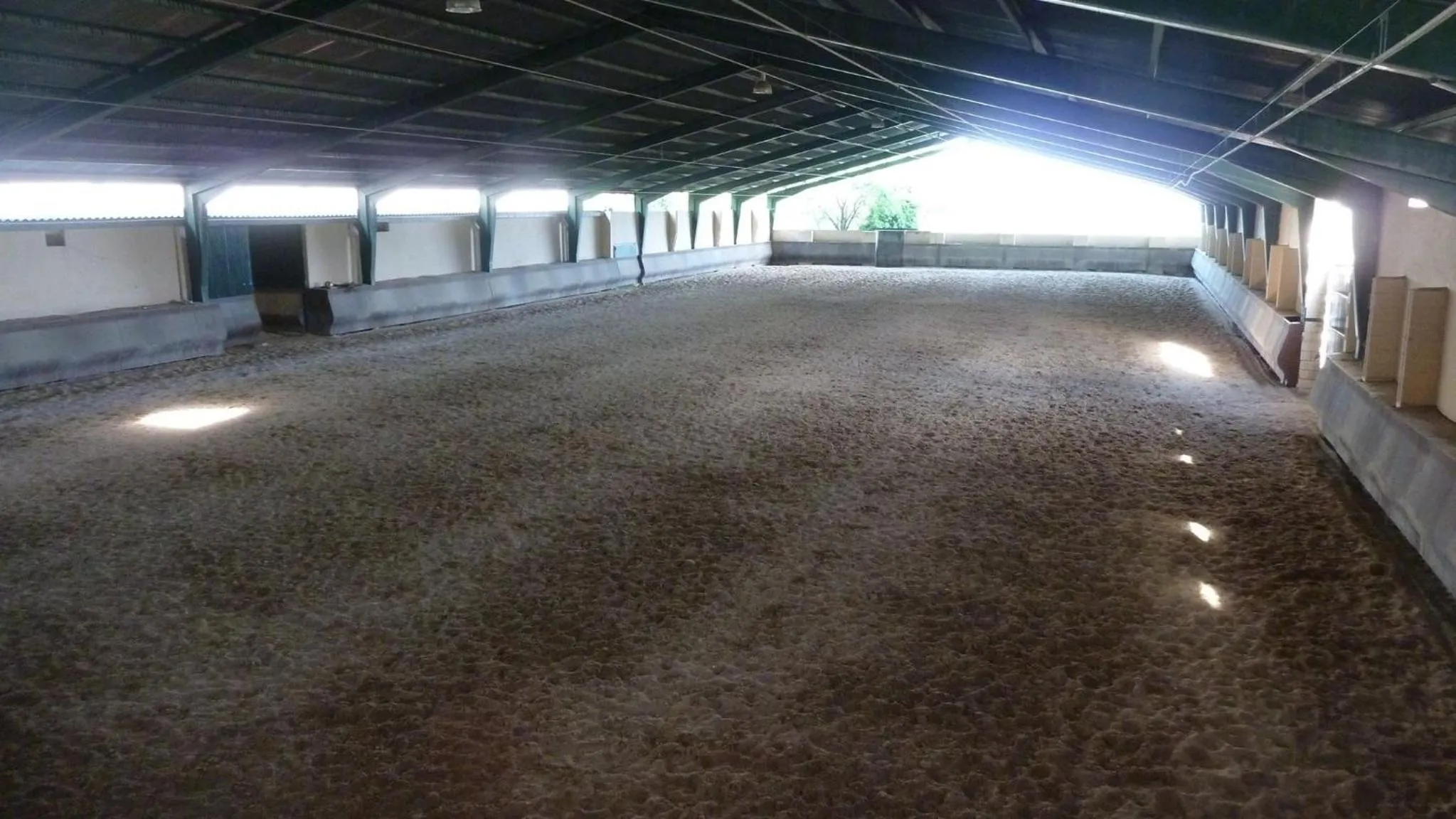 Horse-riding in B&B Yeguada La Parrilla