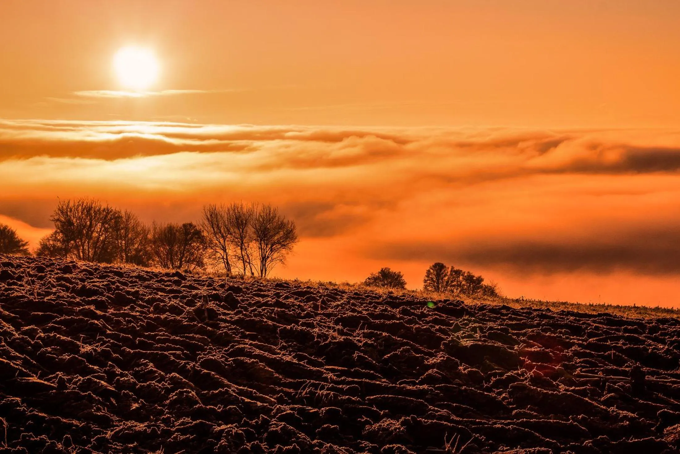 Skiing in Landgasthof Alpenblick an der Wutachschlucht Südschwarzwald