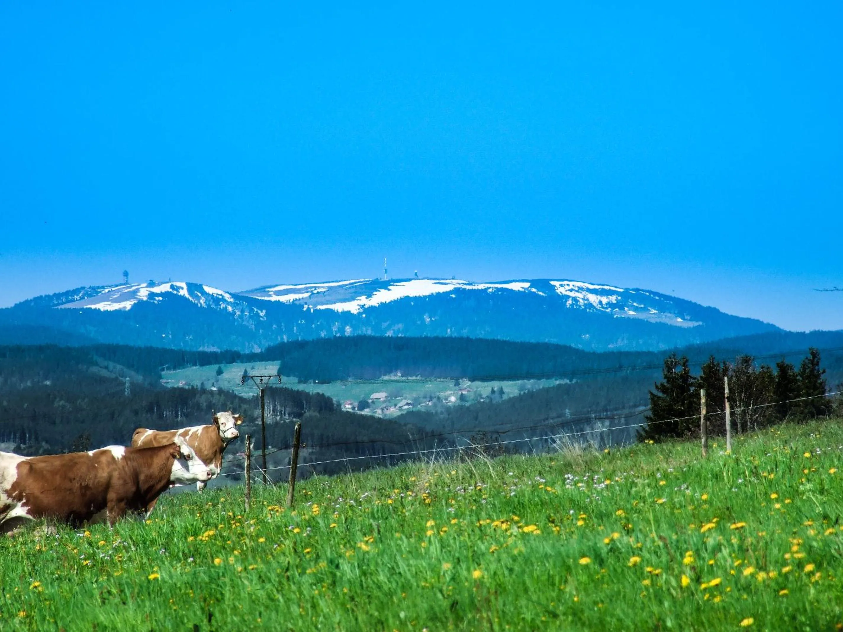 Nearby landmark in Landgasthof Alpenblick an der Wutachschlucht Südschwarzwald