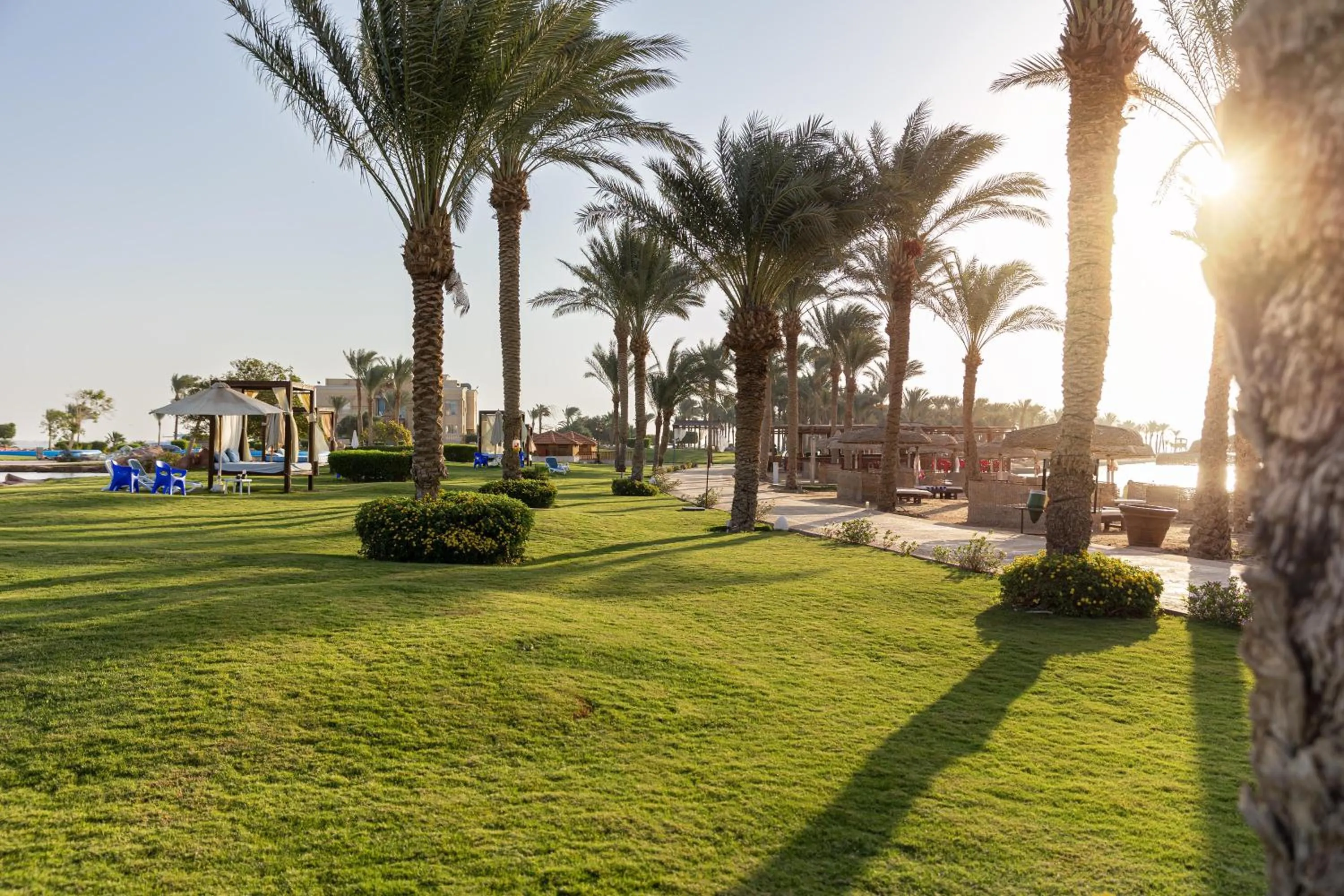 Garden in Palm Royale Resort - Soma Bay