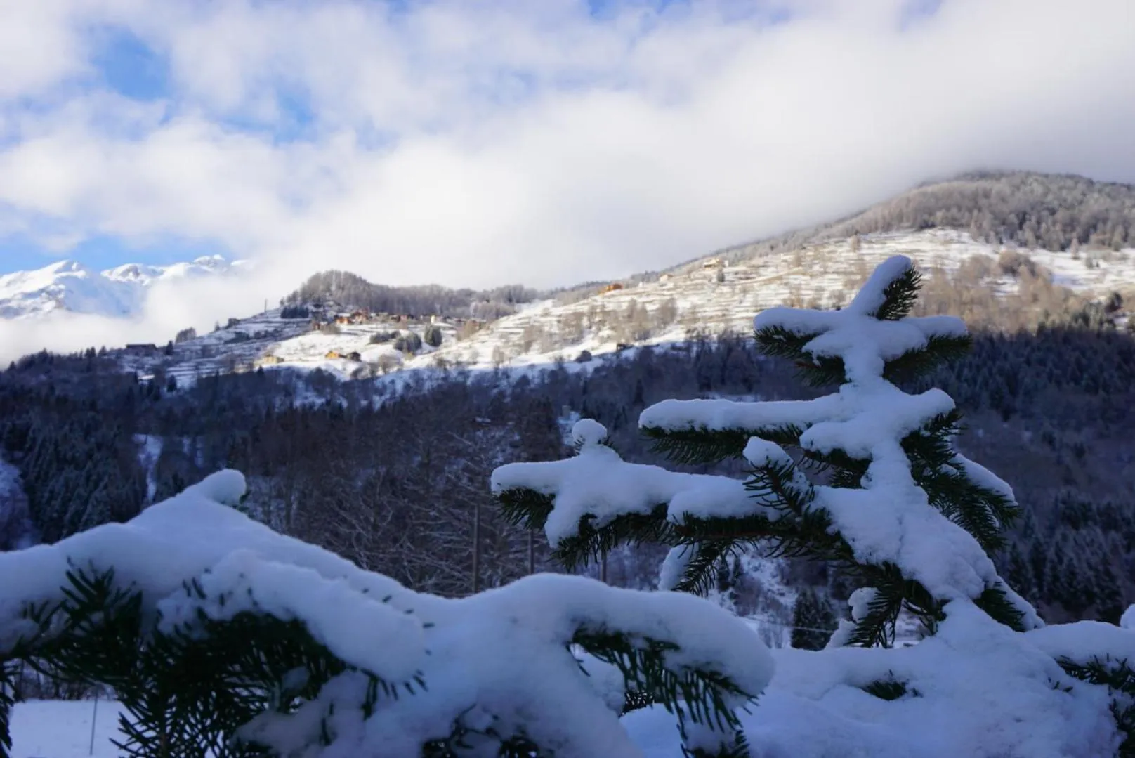 Natural landscape in Hotel Biancaneve