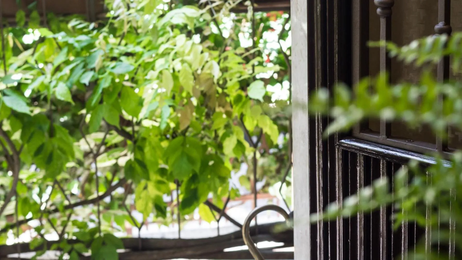 B&B Villa Ida Pescara Centro