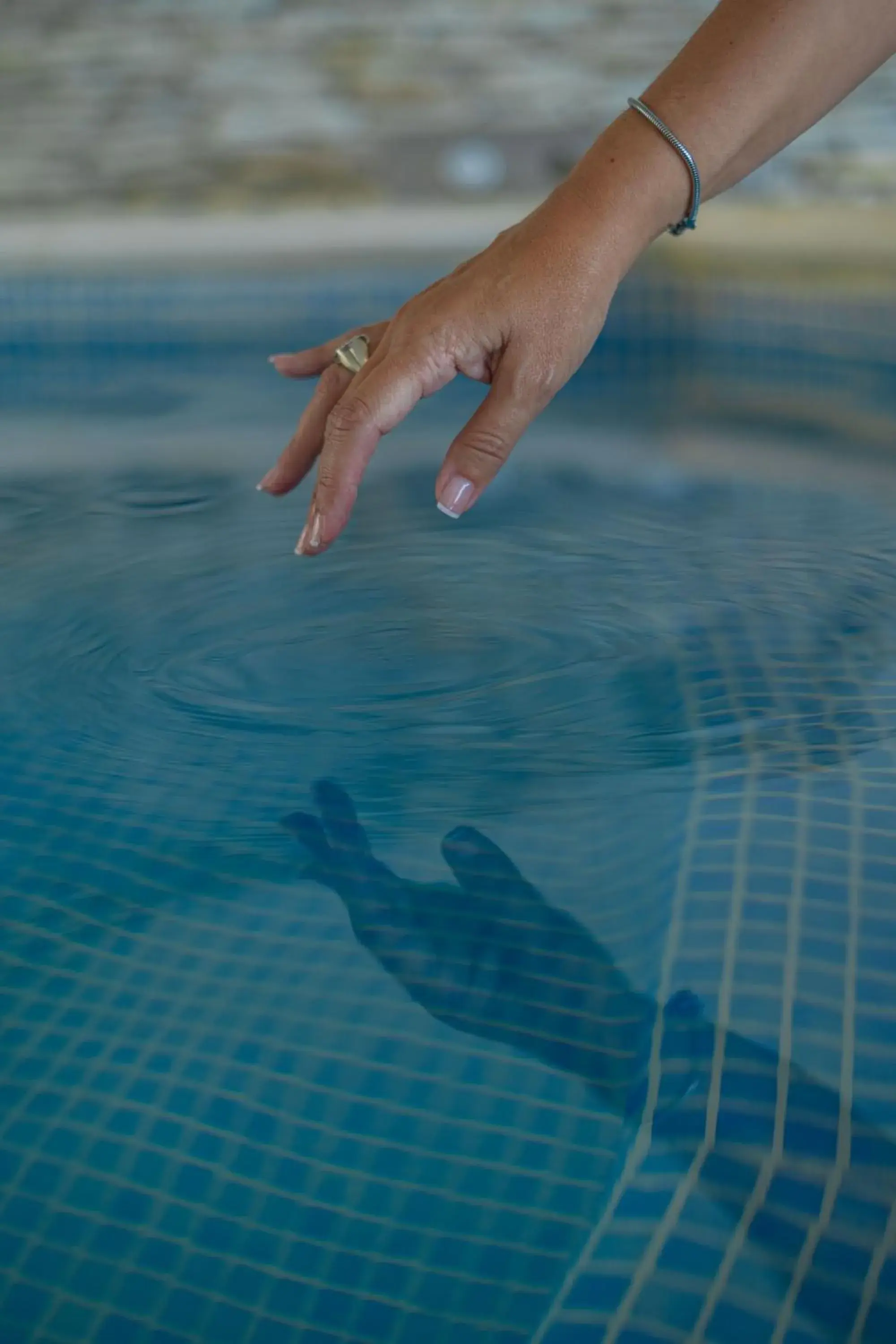 Swimming pool in Hotel Las Rocas Swimming pool in Hotel Las Rocas