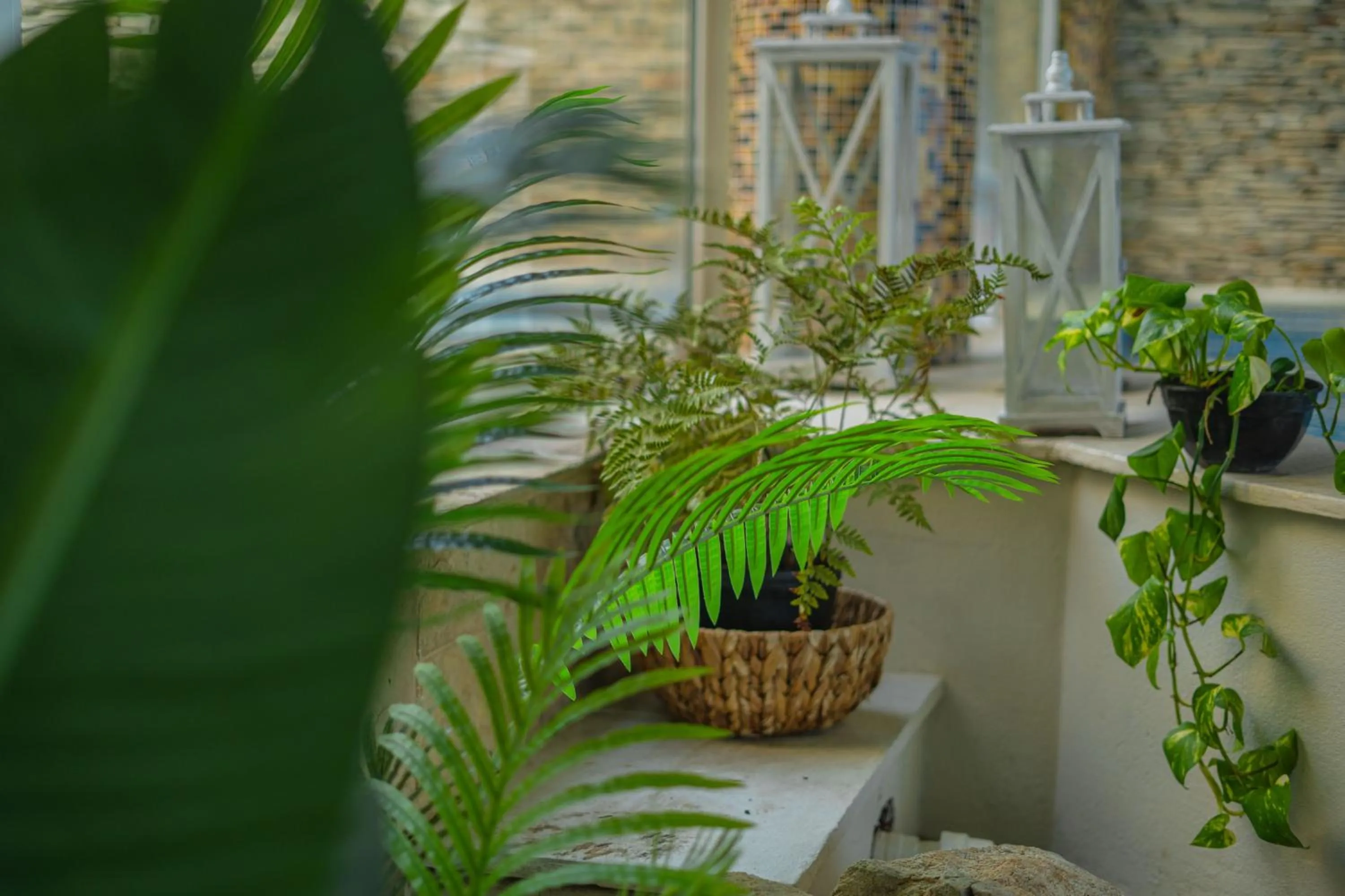 Spa and wellness centre/facilities in Hotel Las Rocas