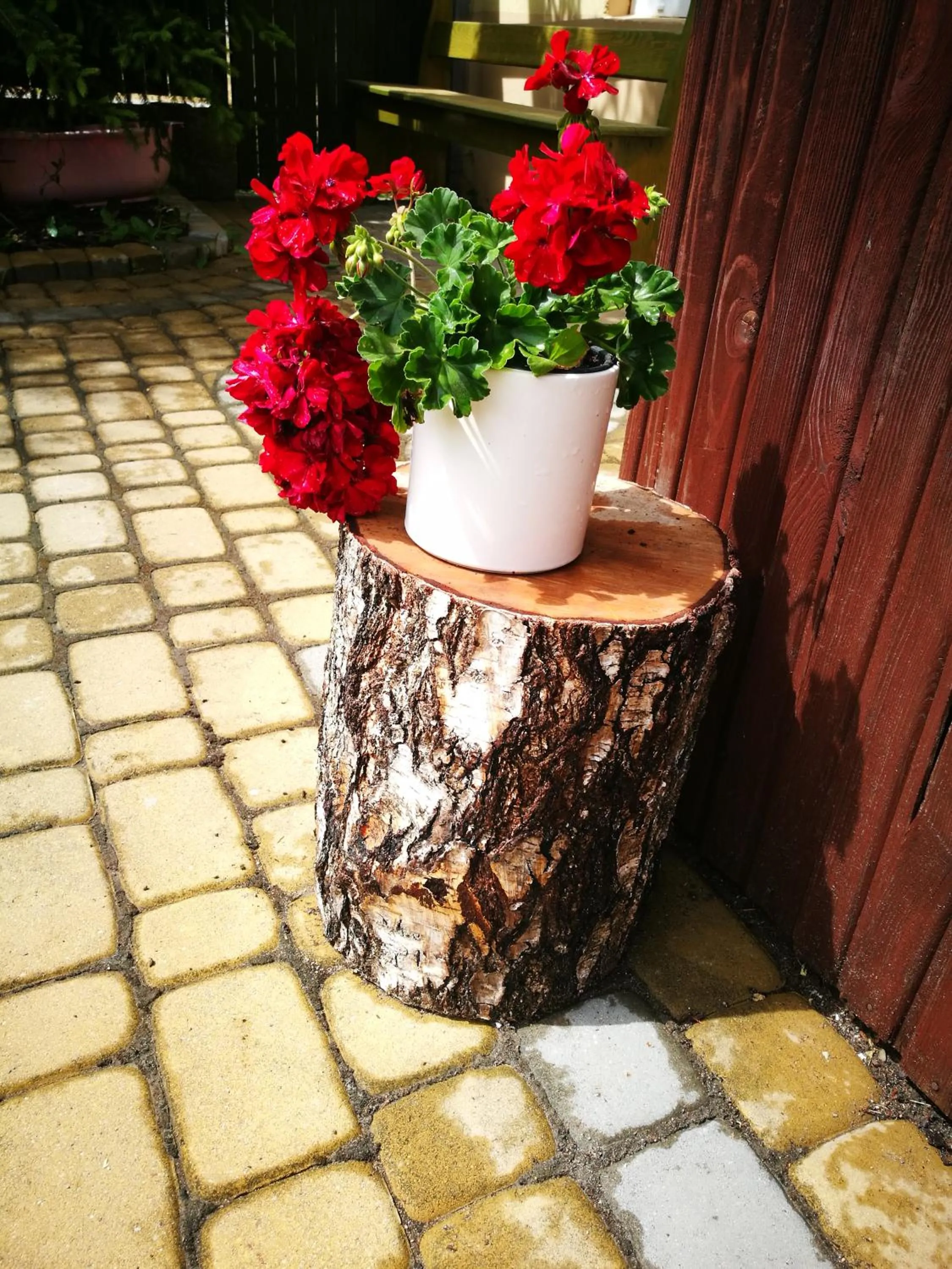 Property building in Dom nad Wigrami