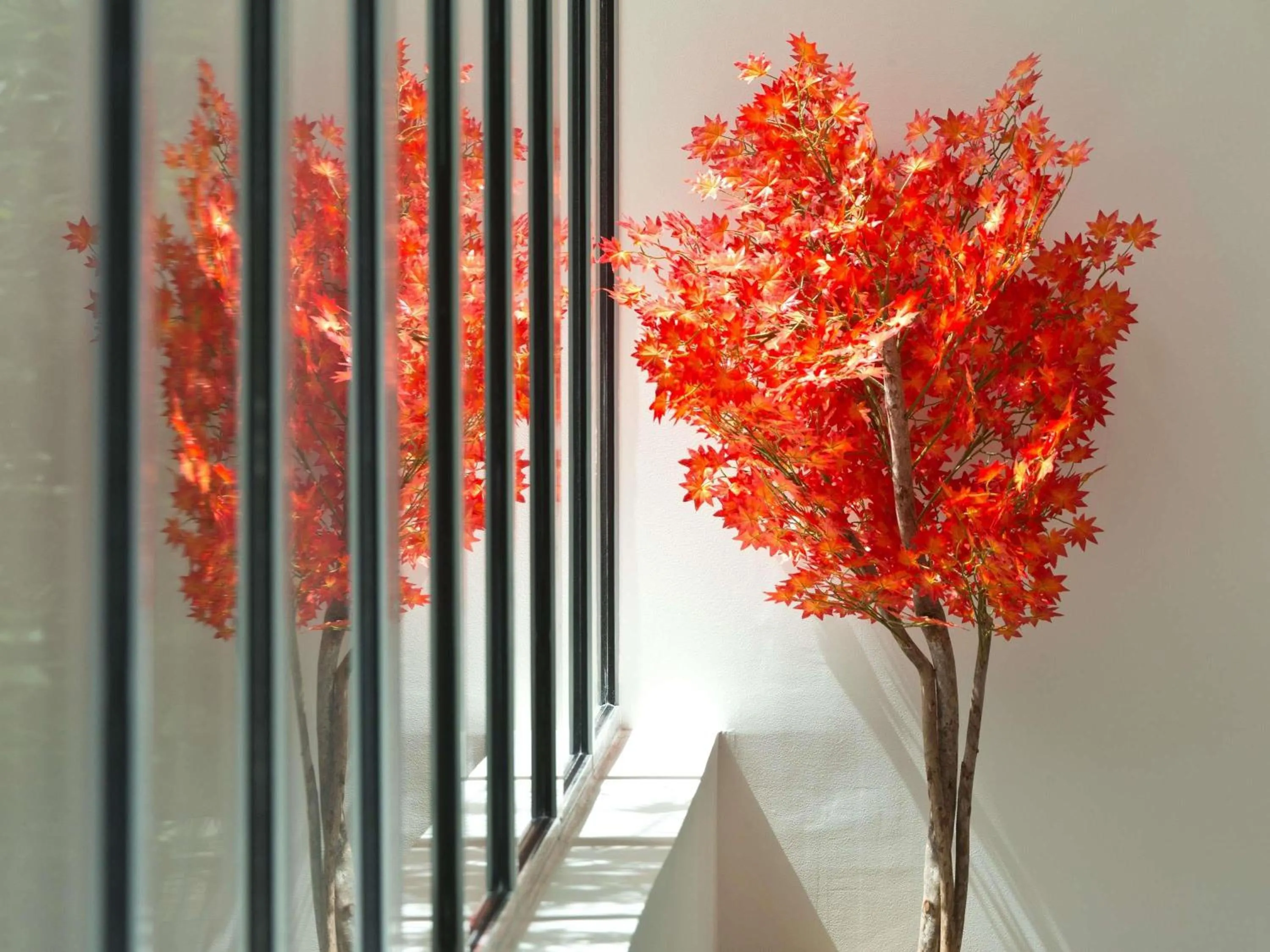 Meeting/conference room in Mercure Montpellier Centre Comédie