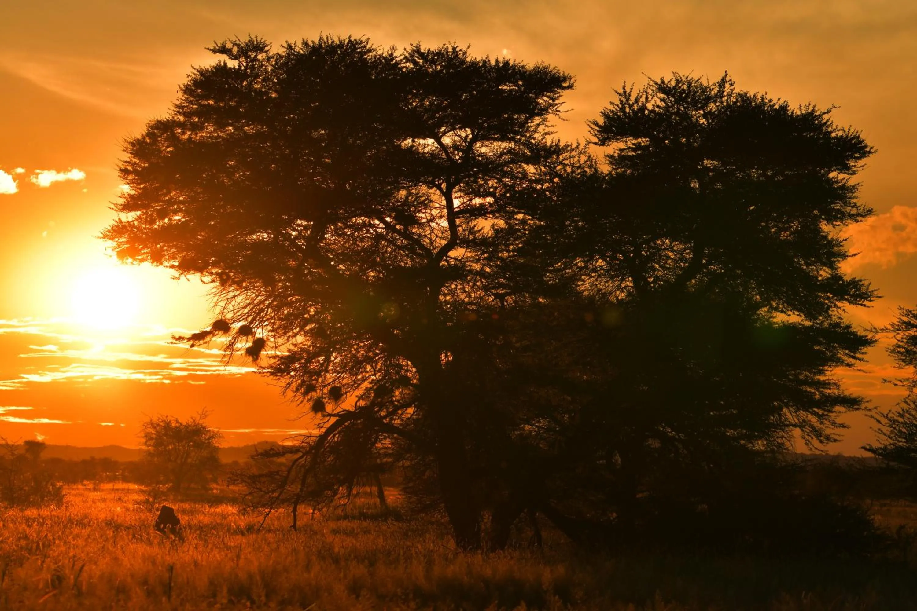 Ohange Namibia Lodge