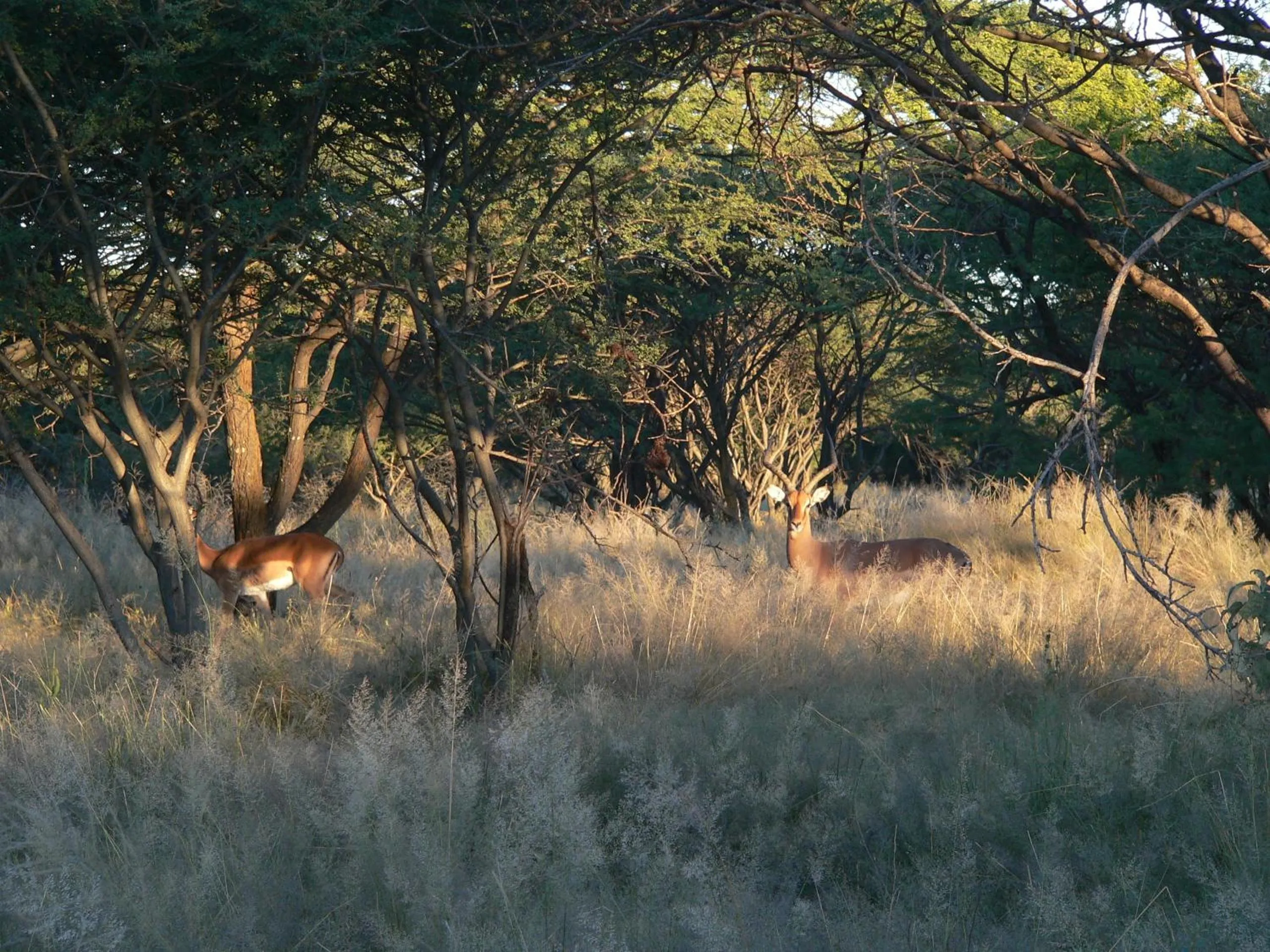 Ohange Namibia Lodge