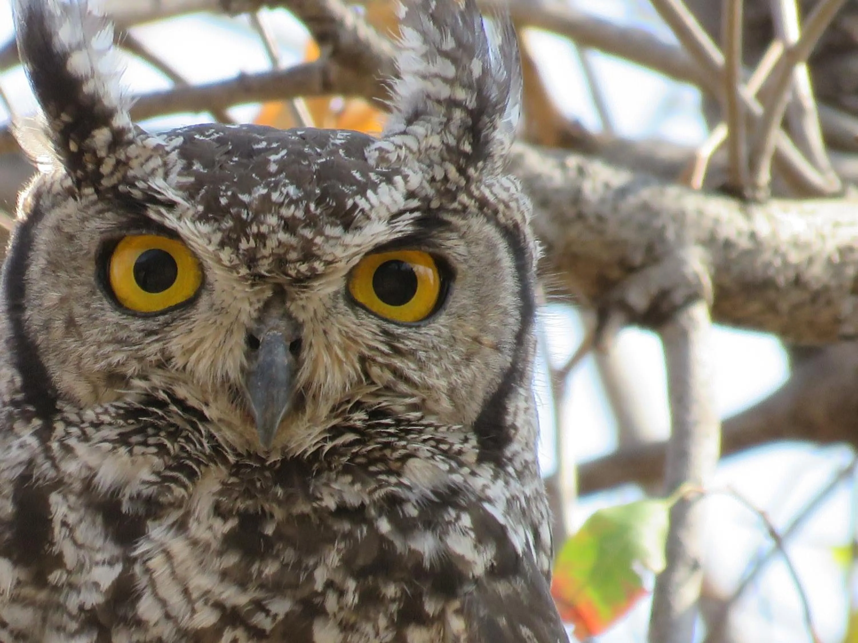 Ohange Namibia Lodge