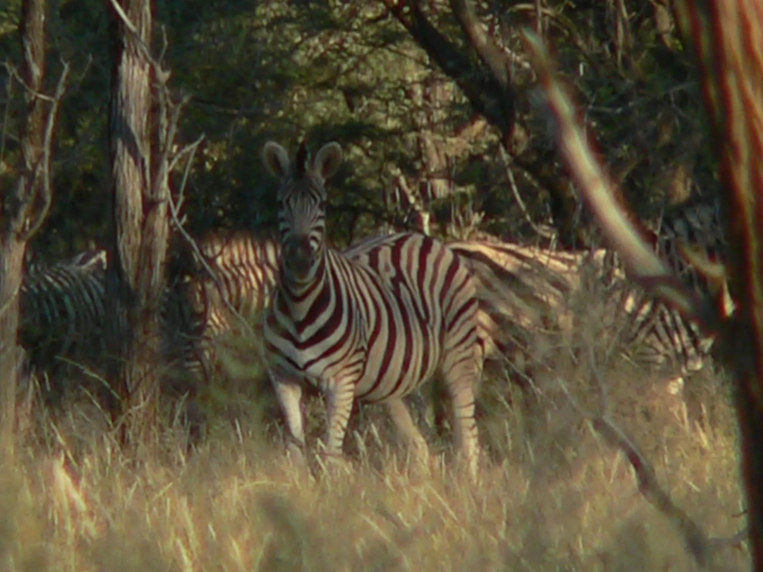 Ohange Namibia Lodge