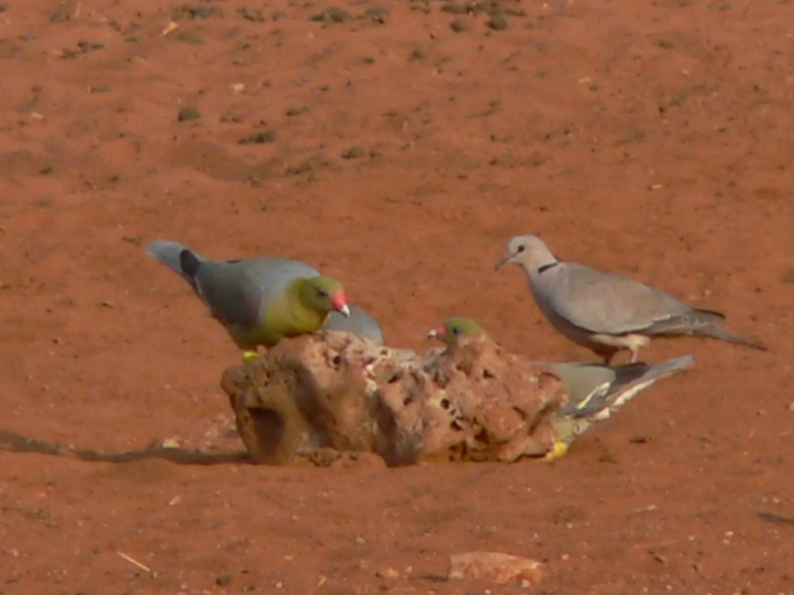 Ohange Namibia Lodge