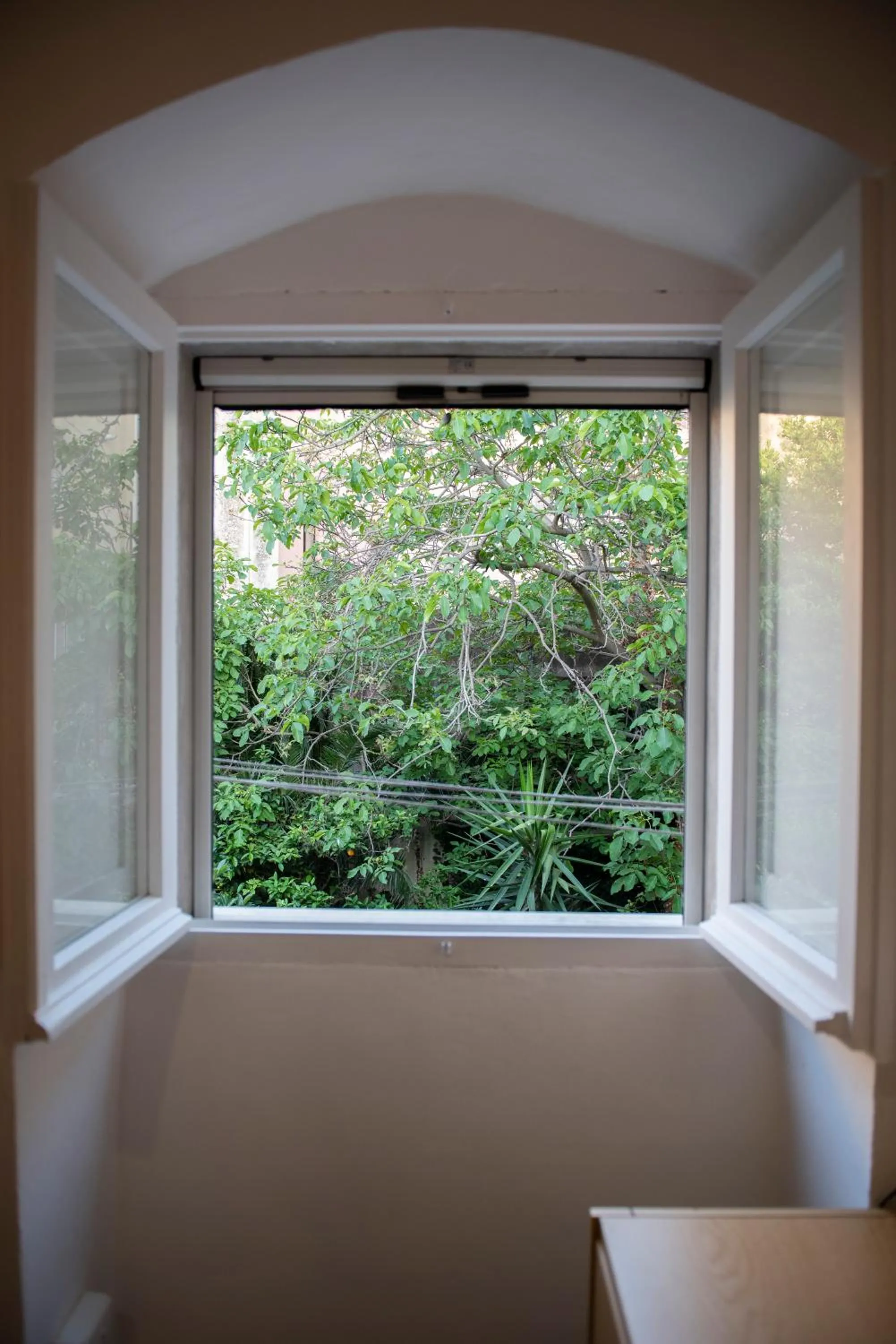 Garden view in B.I.C. (bnb in centro)