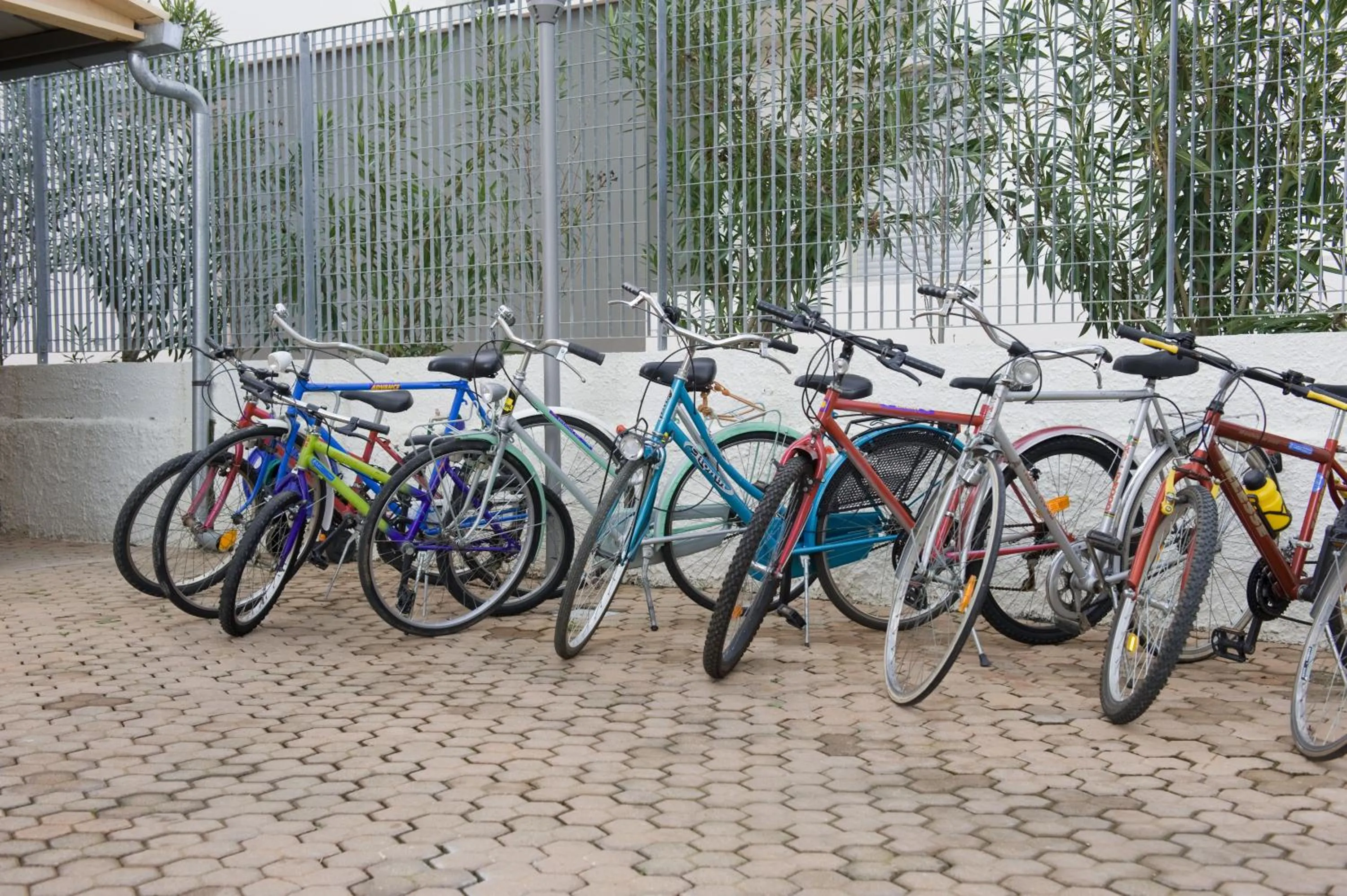 Activities in B&B Nova Siri