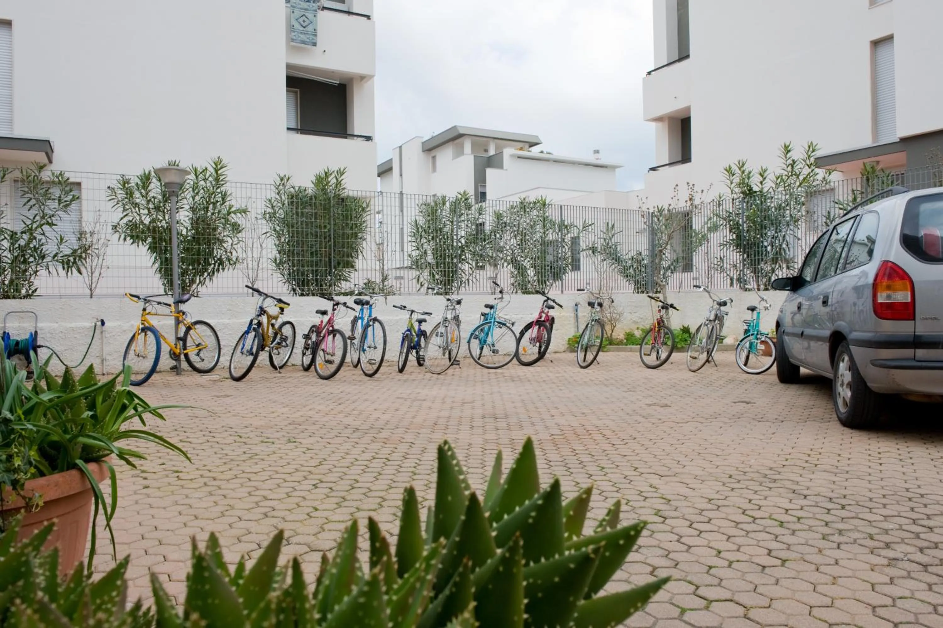 Garden in B&B Nova Siri