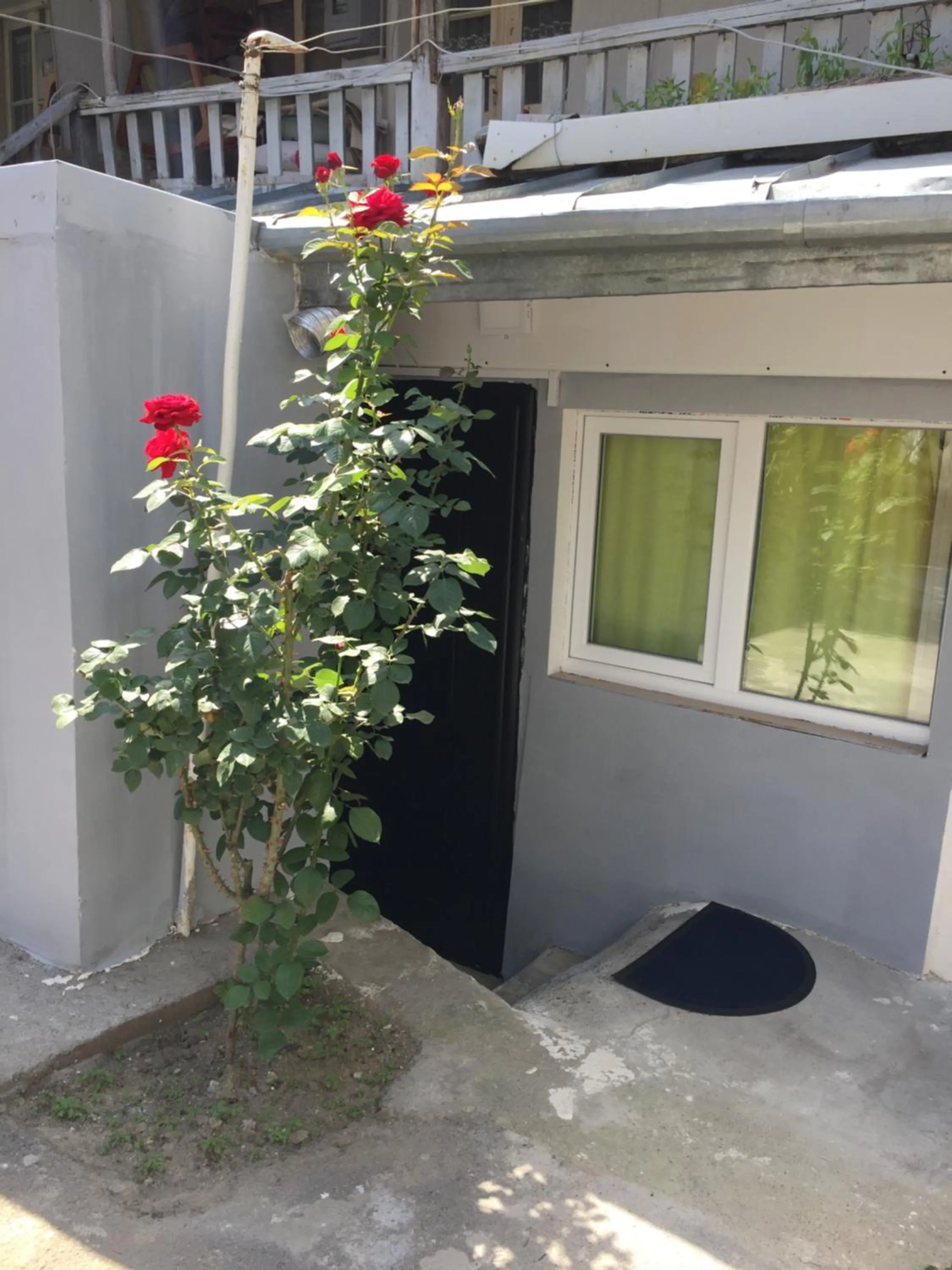 Tbilisi Center House