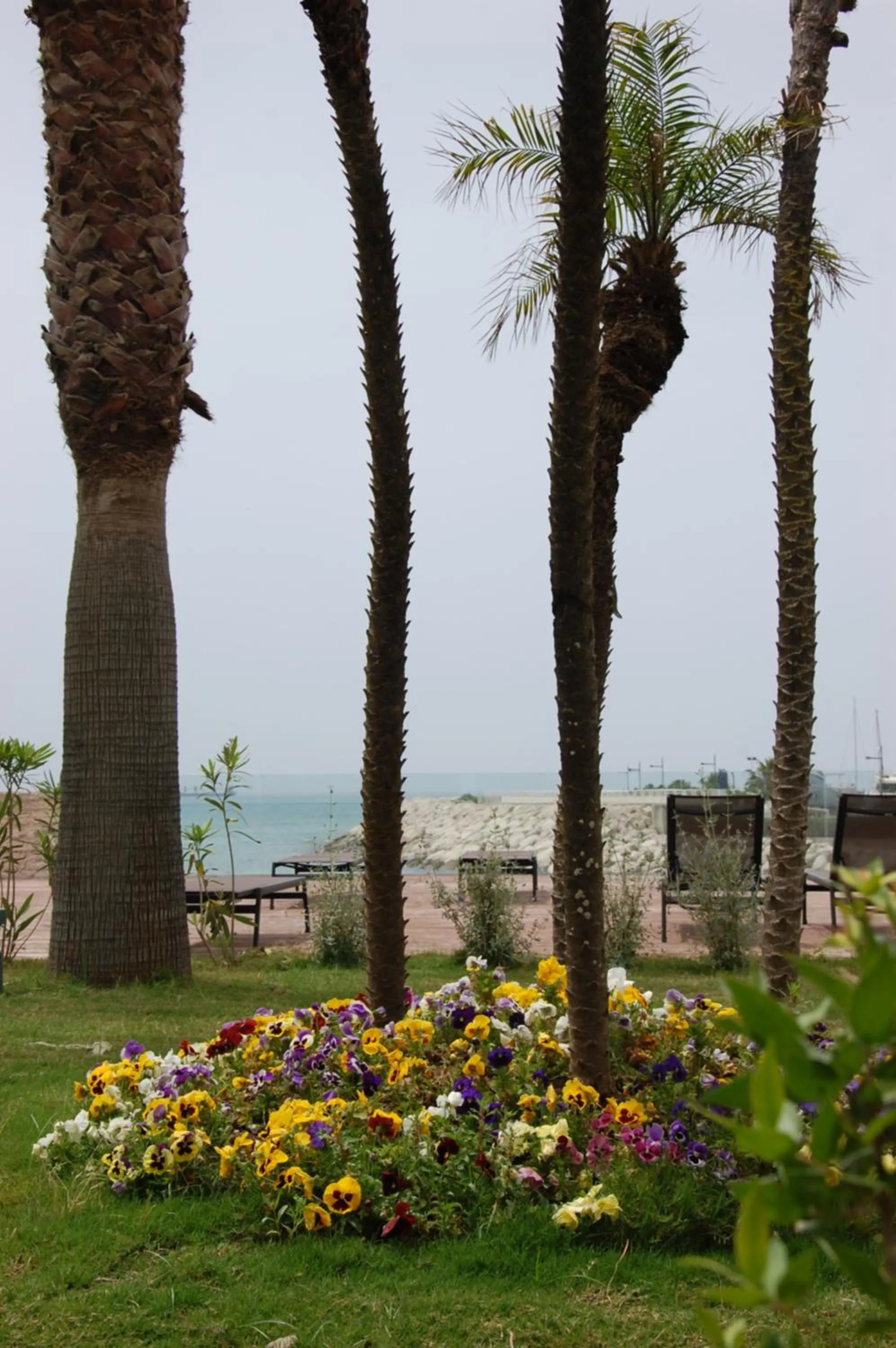 Garden in Saint Joseph