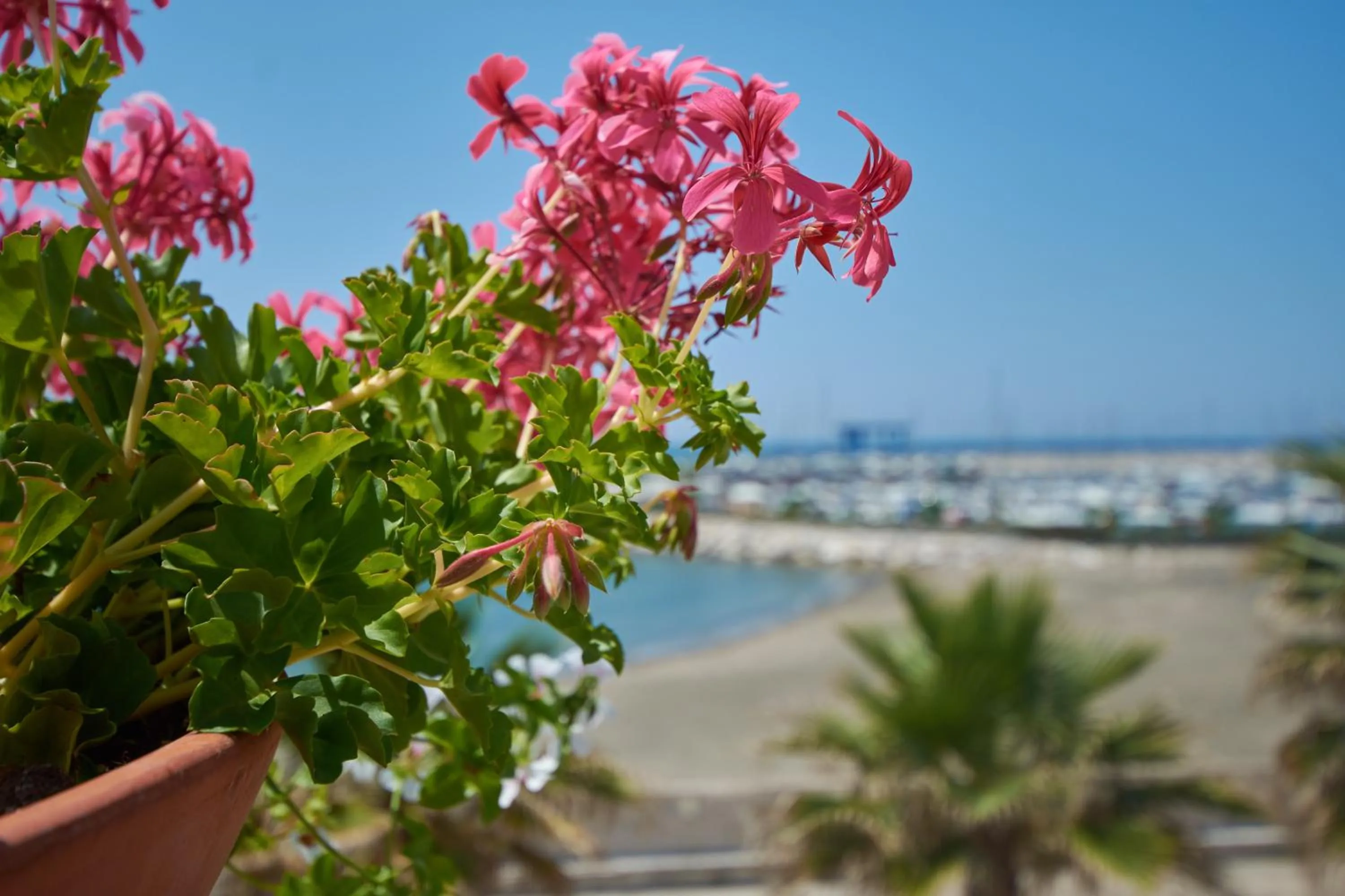 Property building in Saint Joseph