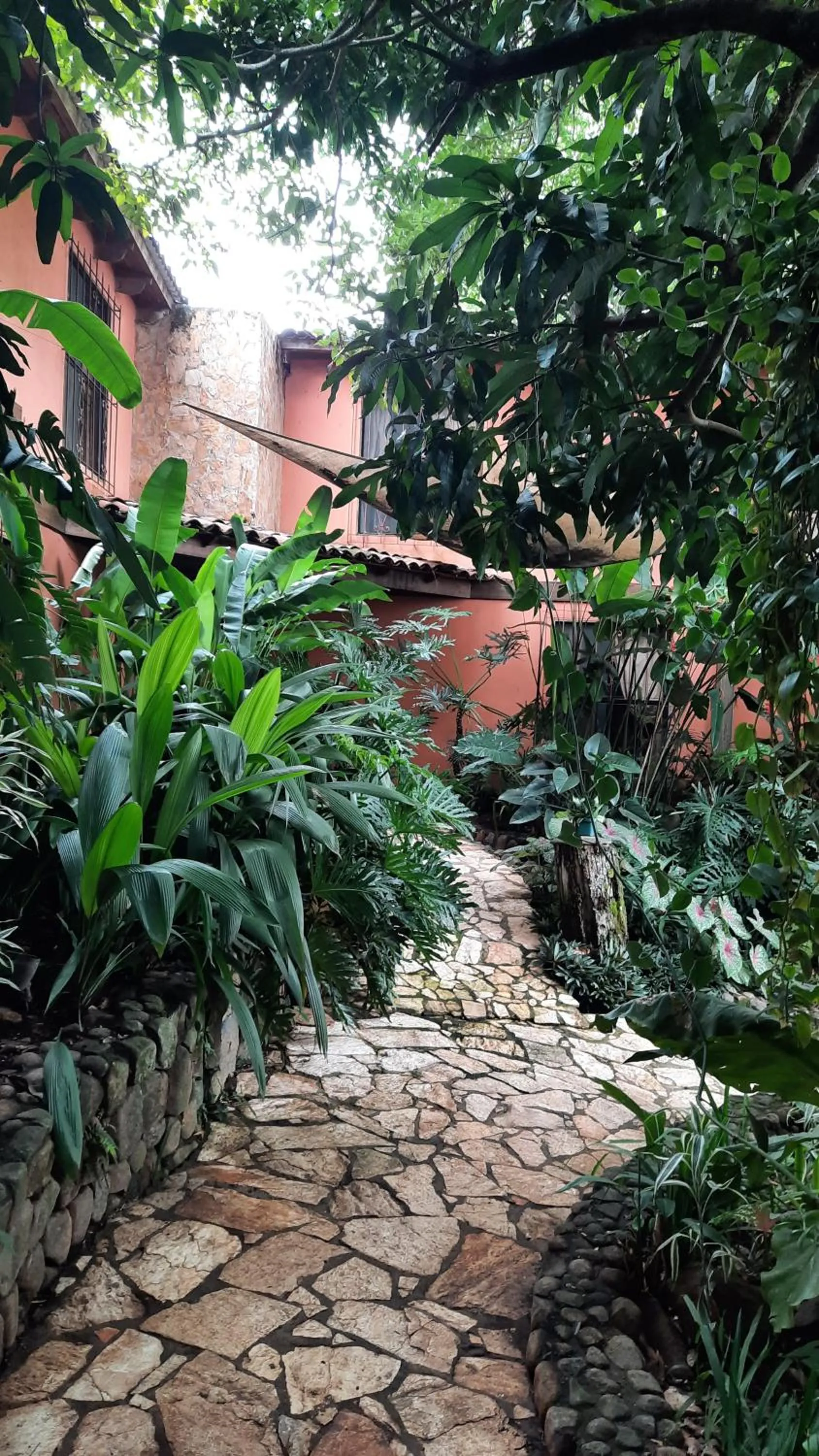 Los Almendros de San Lorenzo