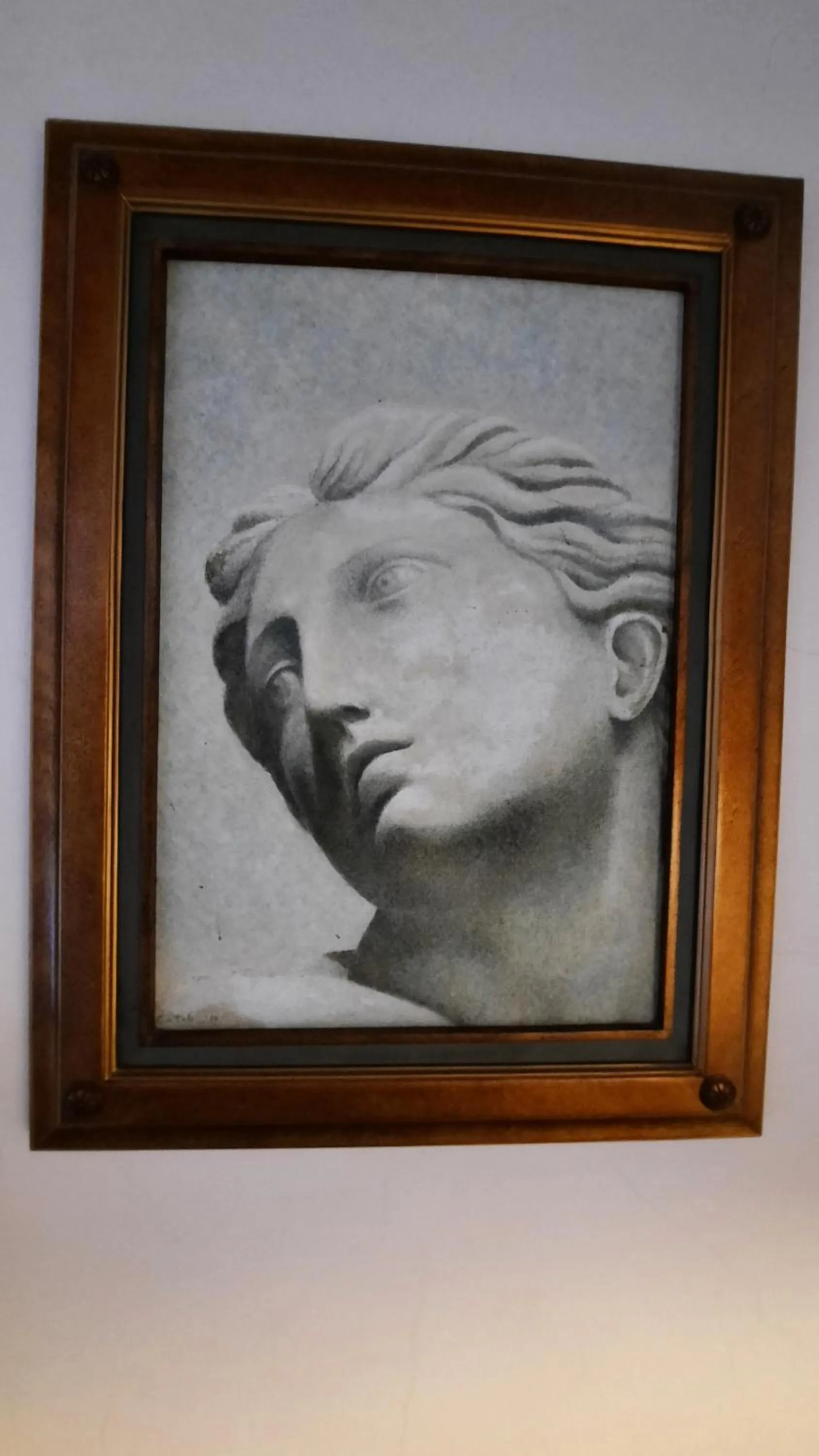 Los Almendros de San Lorenzo