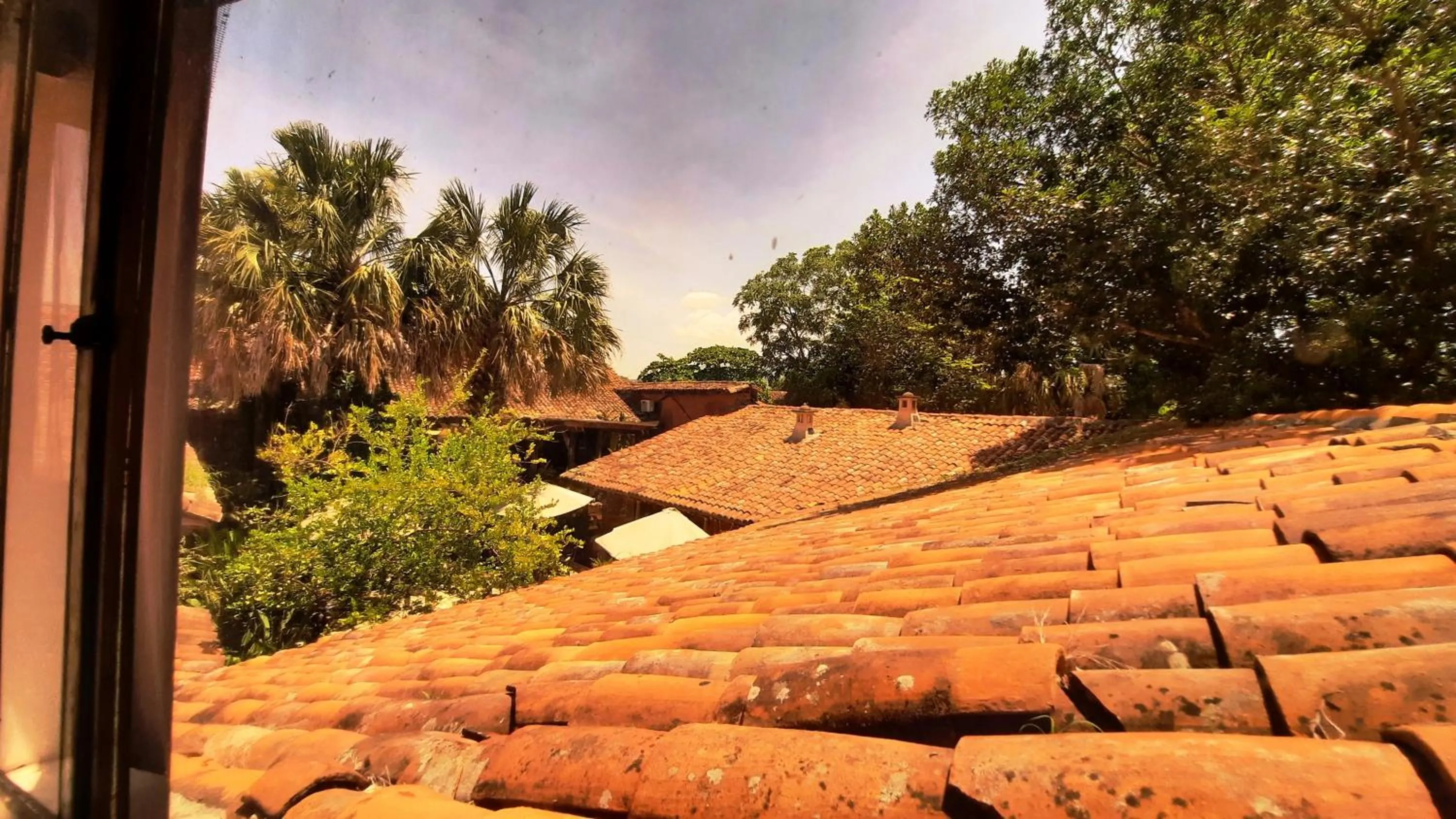 Los Almendros de San Lorenzo