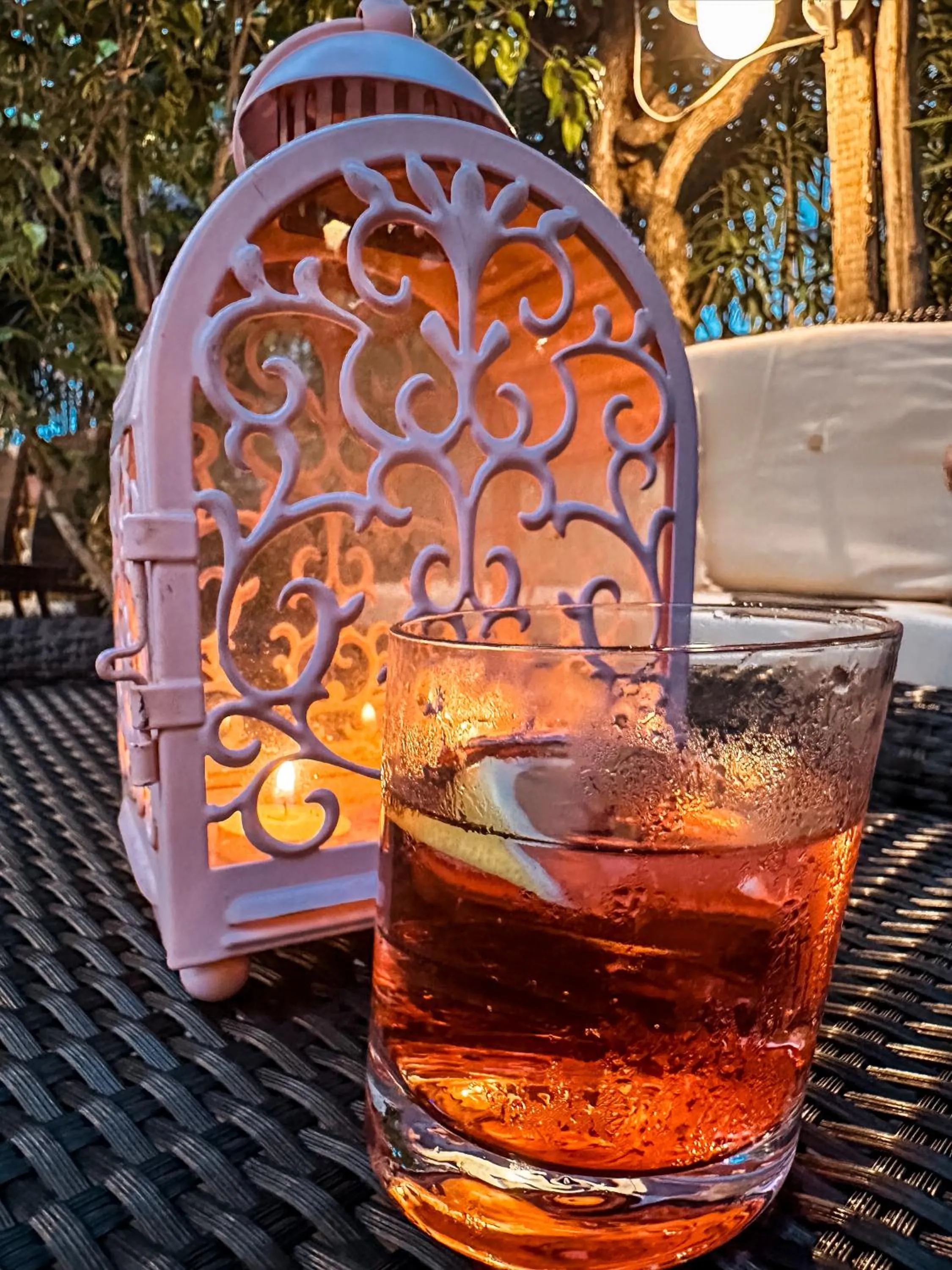 Garden in Hotel Alba