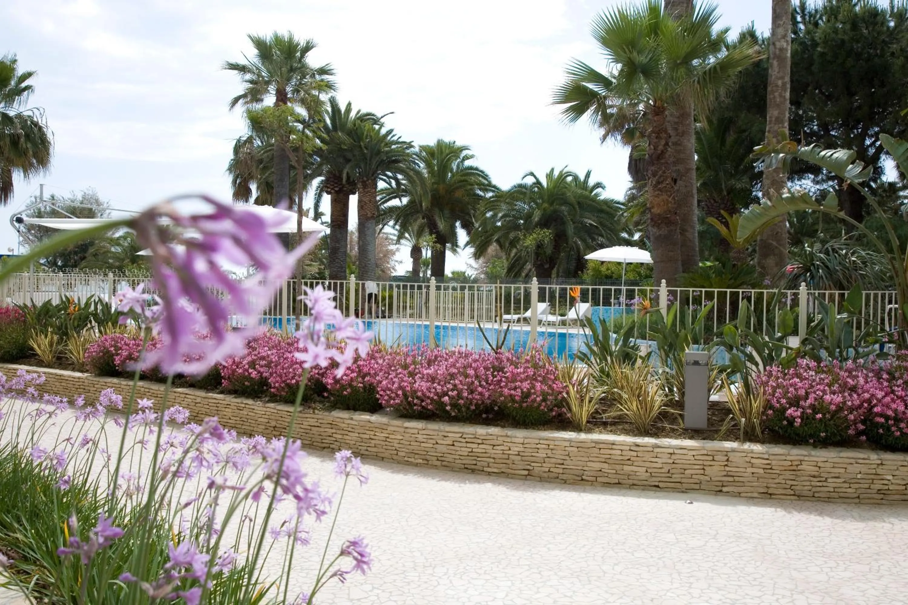 Area and facilities in Smeraldo Suites & Spa