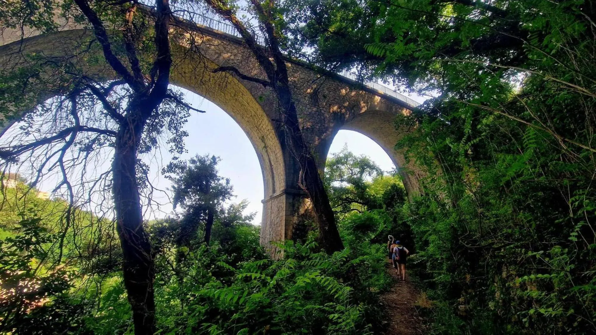 Activities in The frogs' house - Yoga Retreat