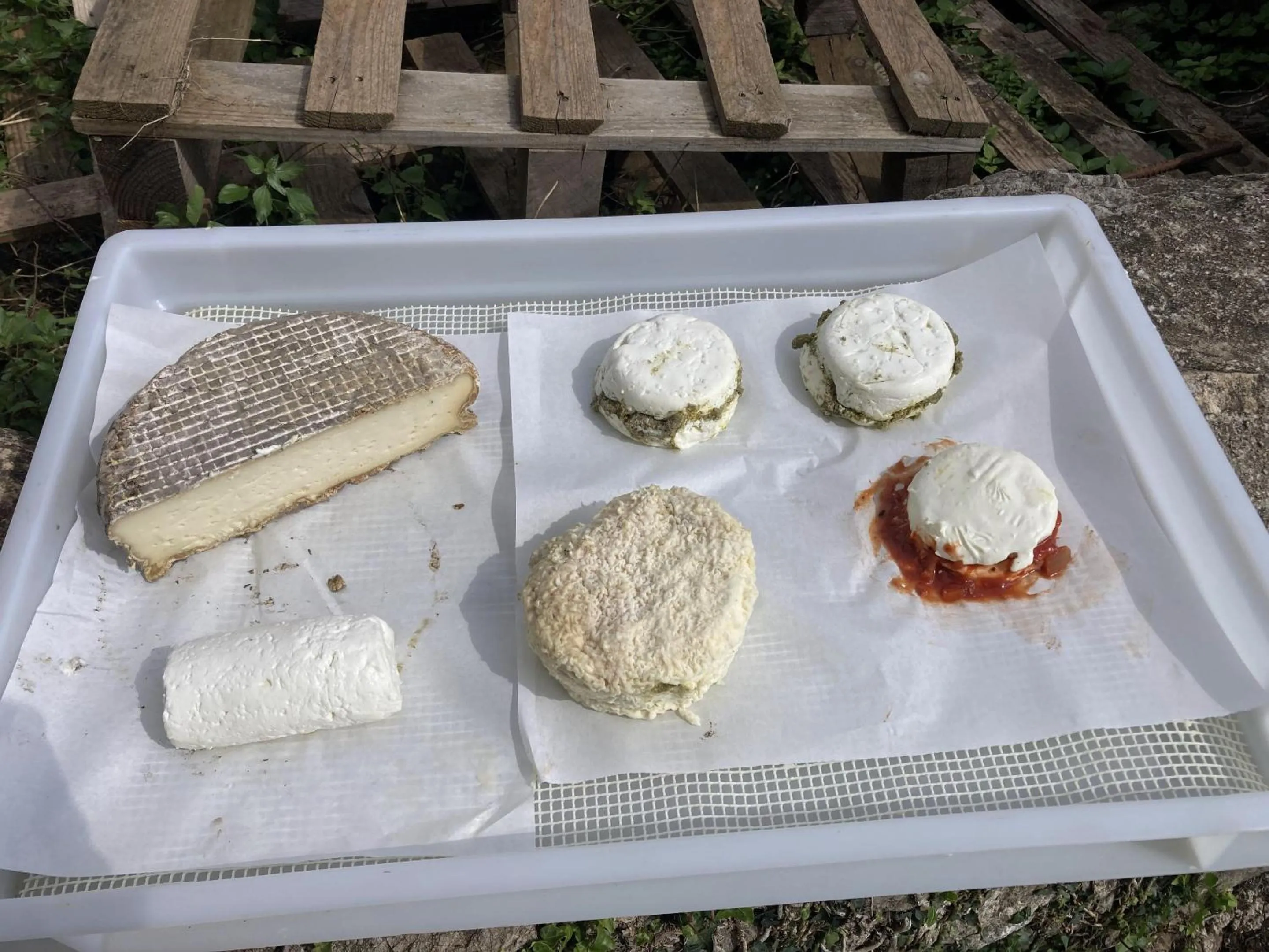 Food and drinks in The frogs' house - Yoga Retreat