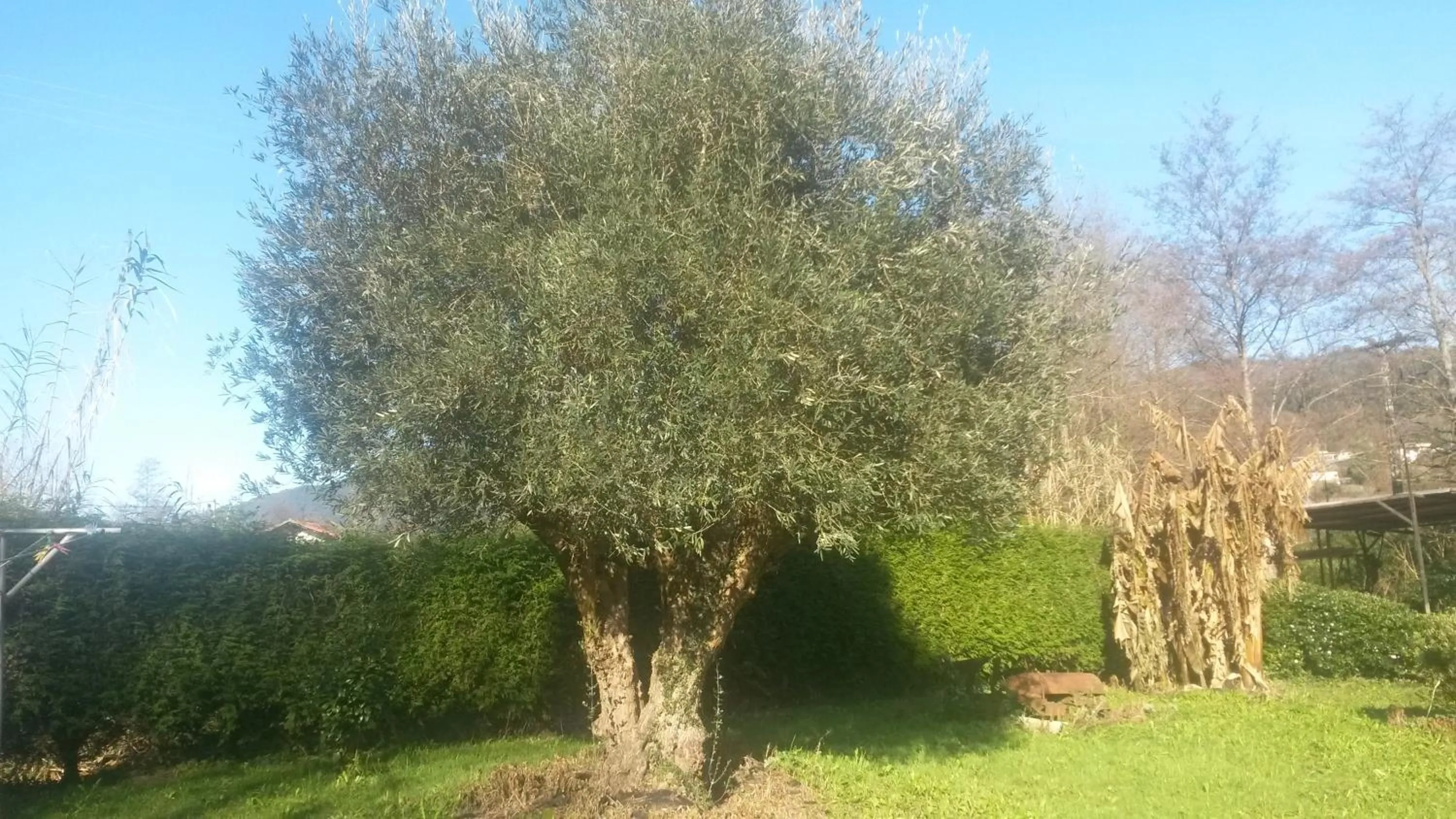 Garden in Casa Rural Ibarrondo Etxea