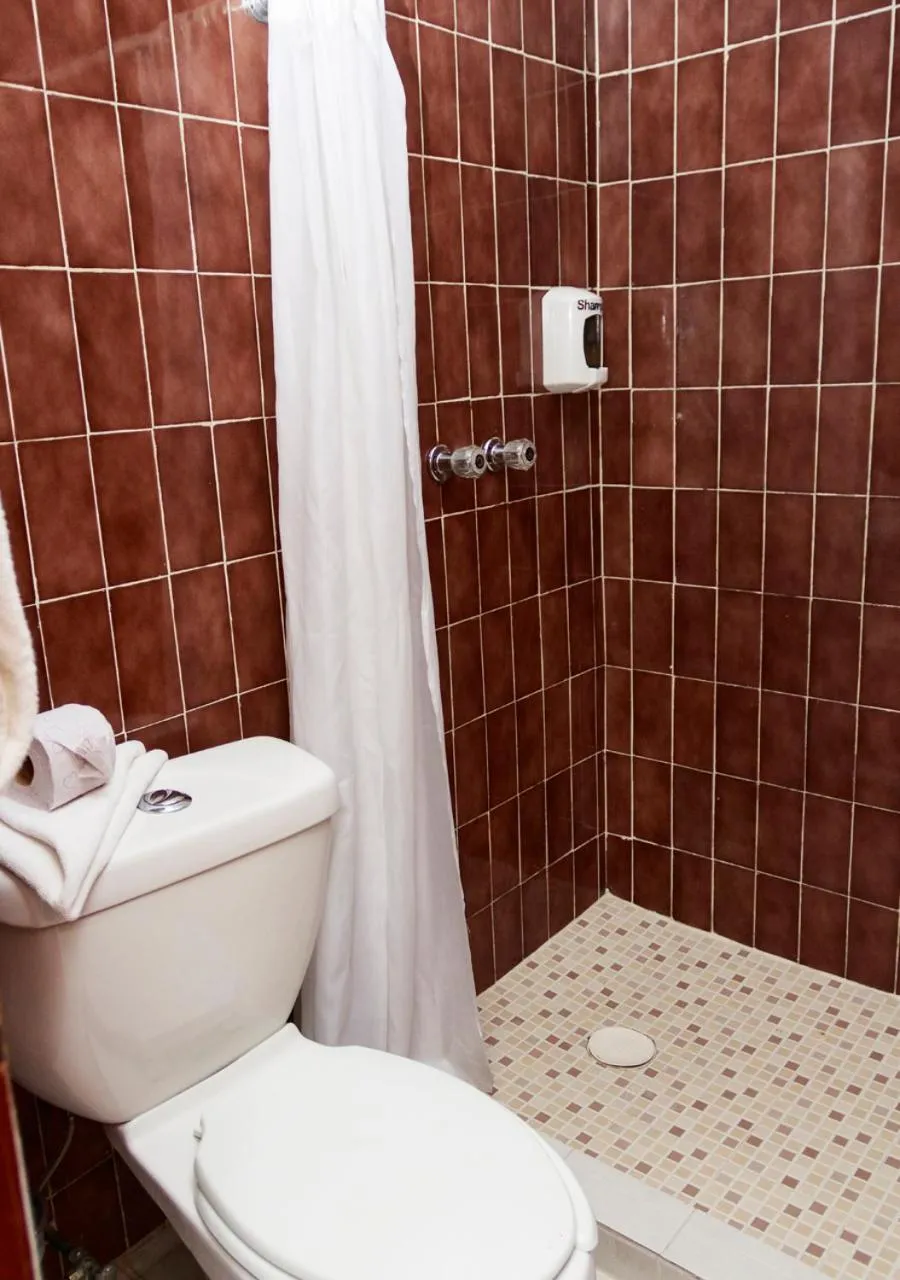 Shower in Best Western Hotel Madan