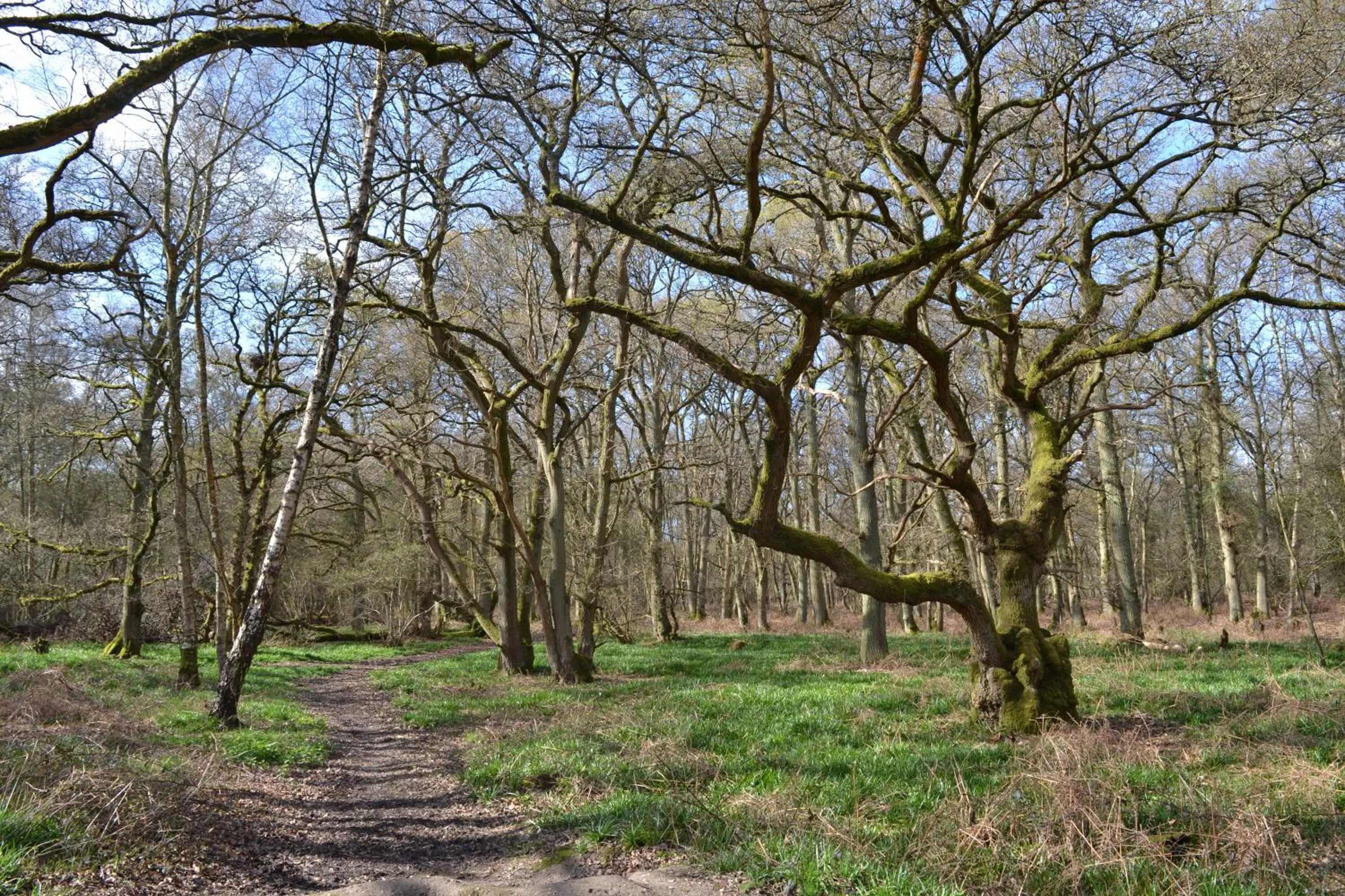 Off site in The Kingsley at Eversley