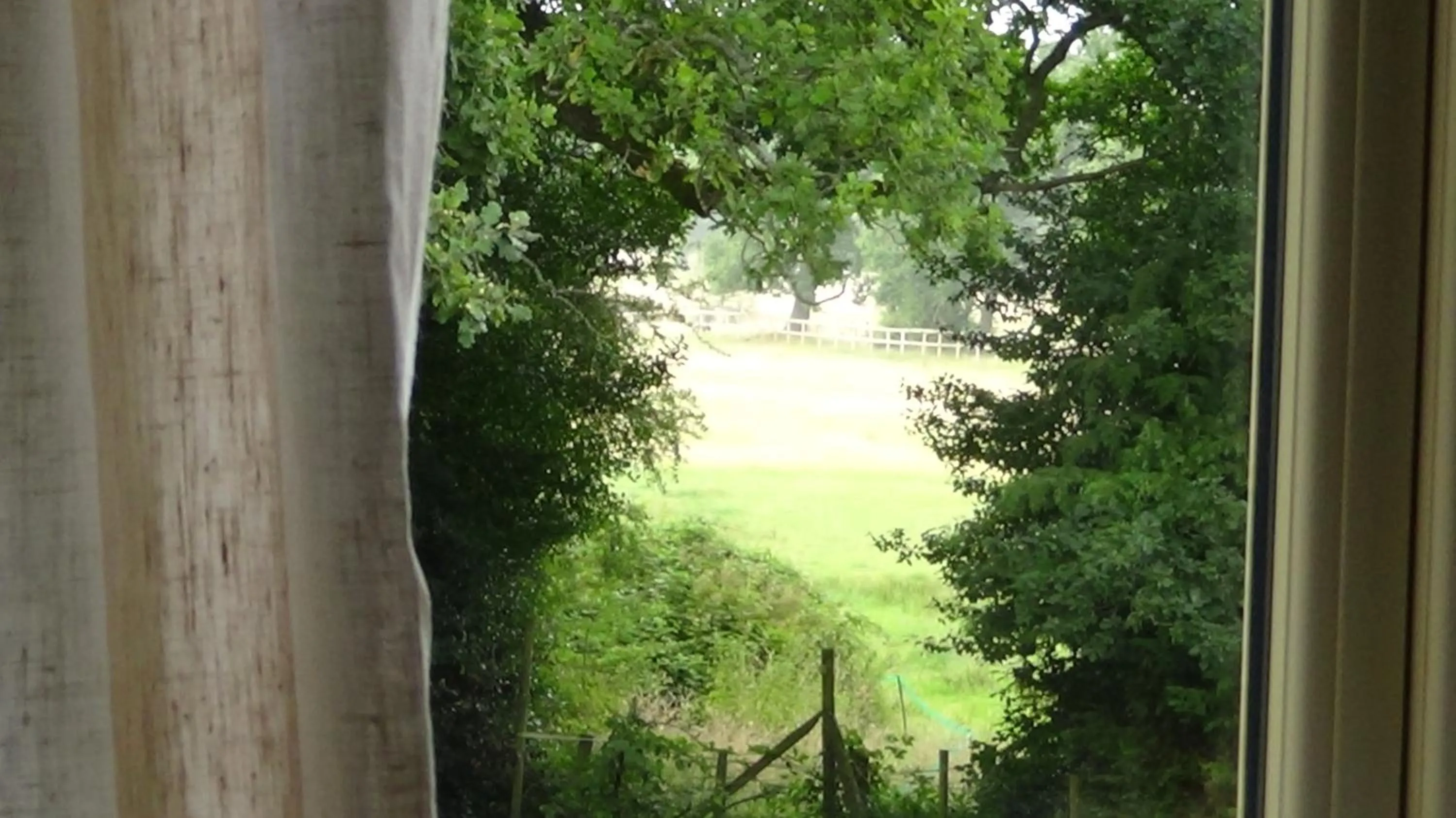 Garden view in The Kingsley at Eversley
