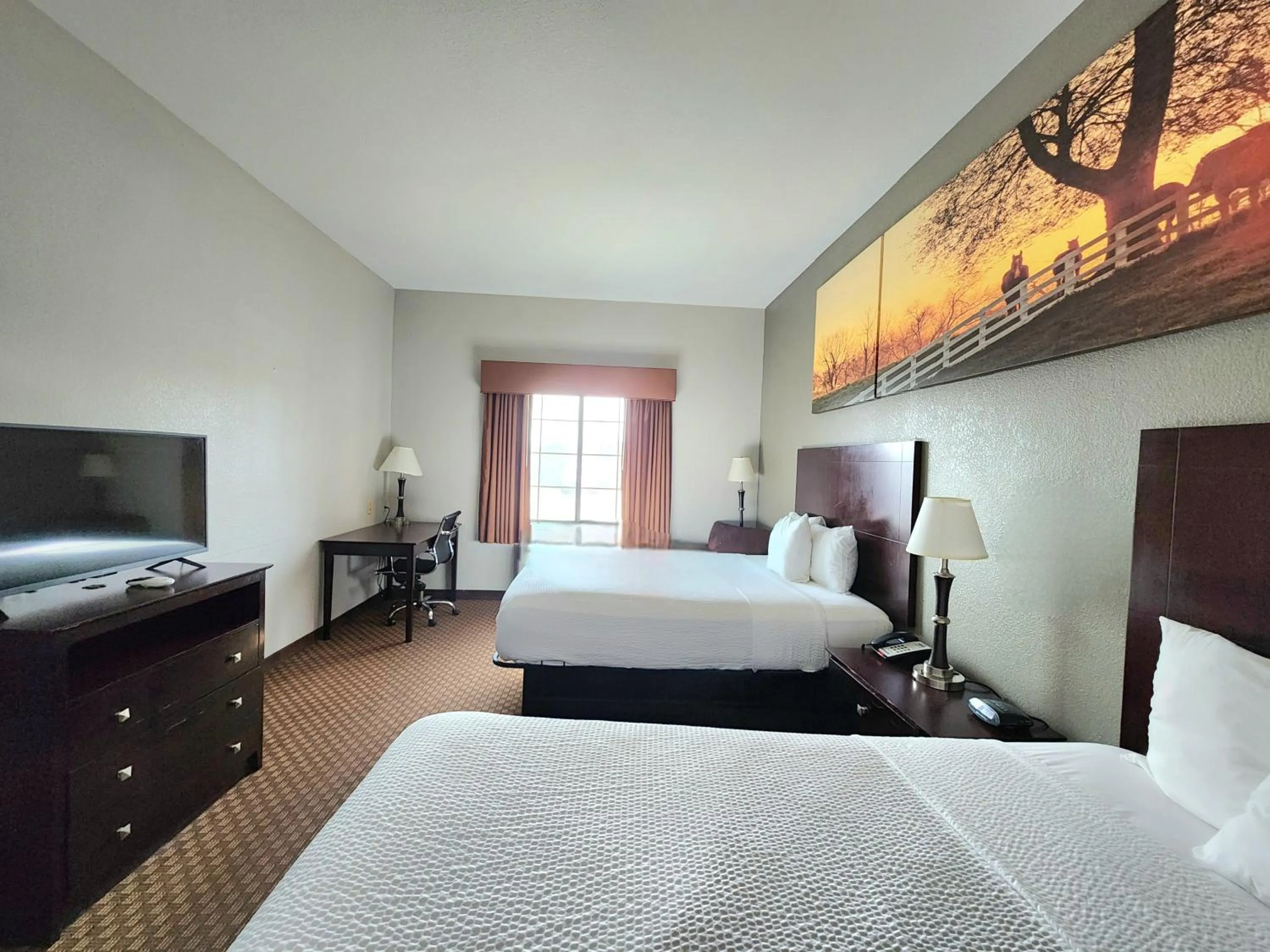 Bedroom, Bed in Days Inn by Wyndham Kemah