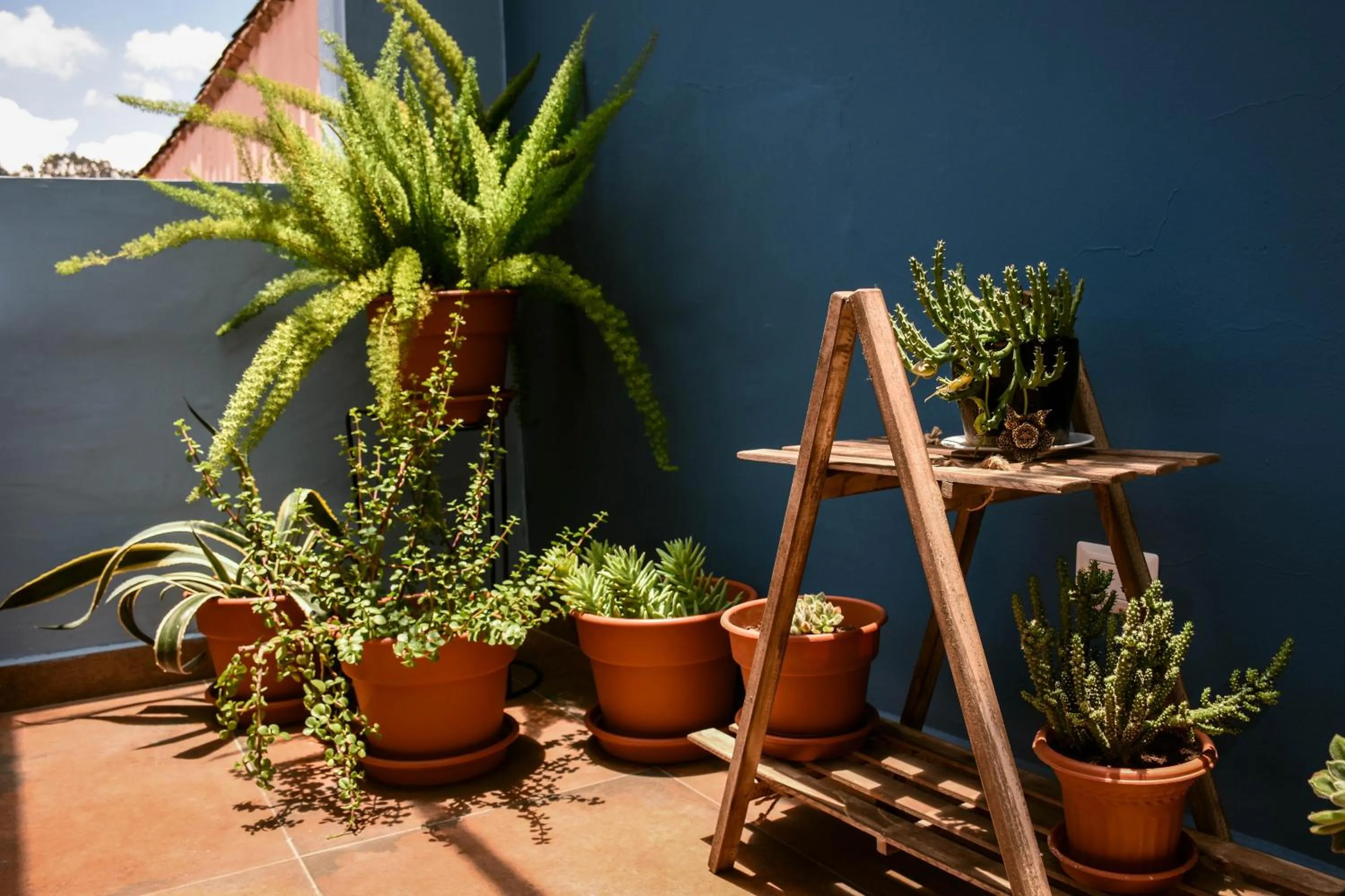 Restaurant/places to eat in Cooper Hotel Boutique