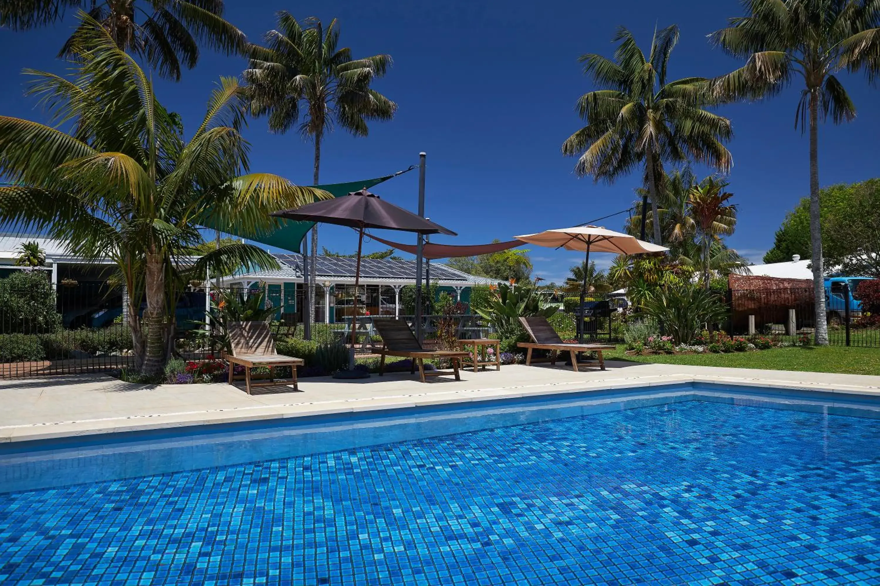 Swimming pool in Aloha Apartments Swimming pool in Aloha Apartments