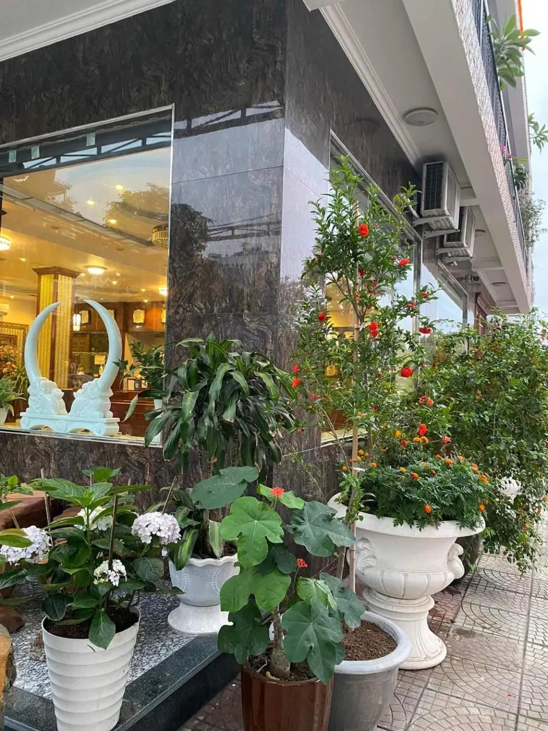 Facade/entrance in ĐẠI THÀNH PHÚC