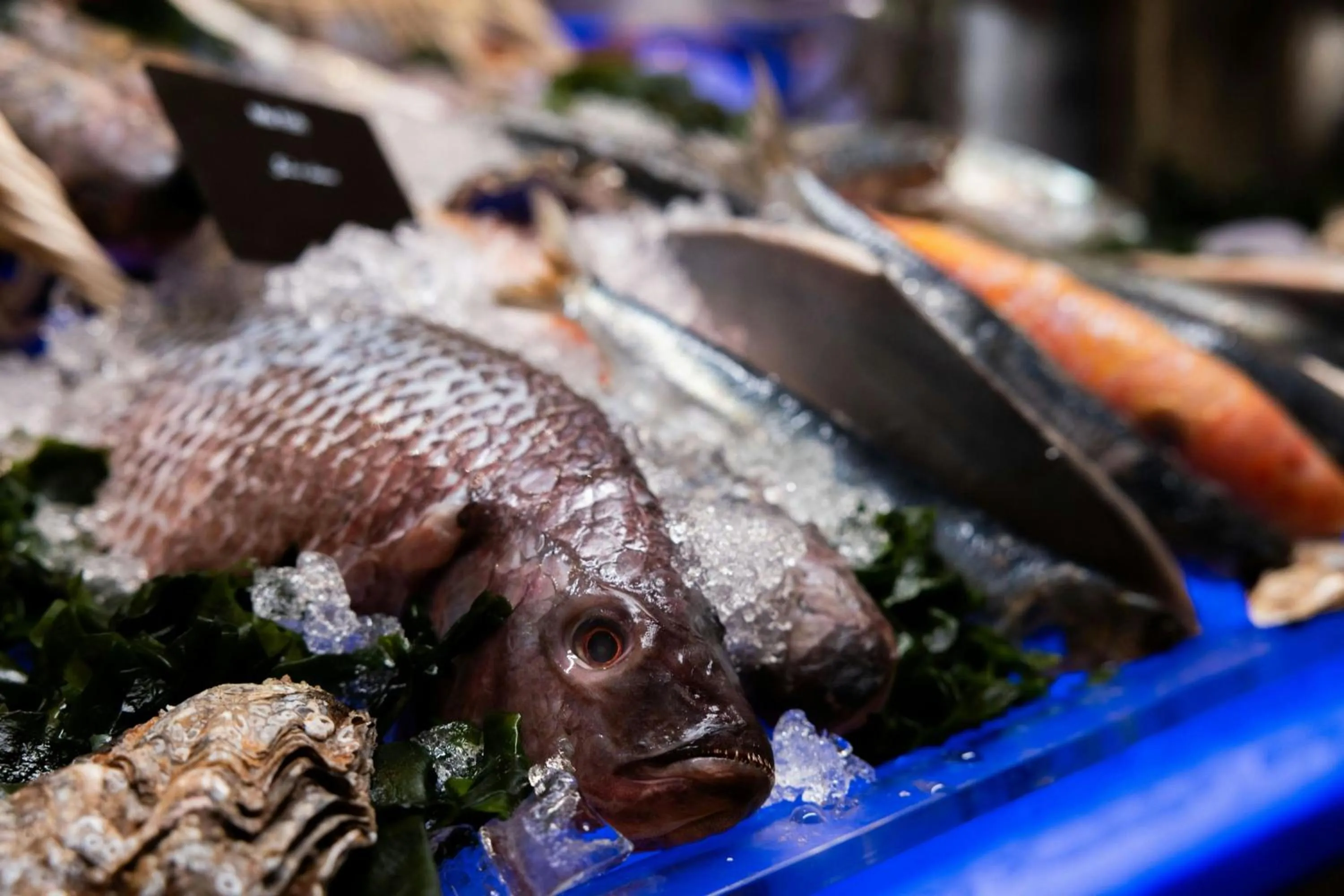 Restaurant/places to eat in The Ritz-Carlton, Riyadh