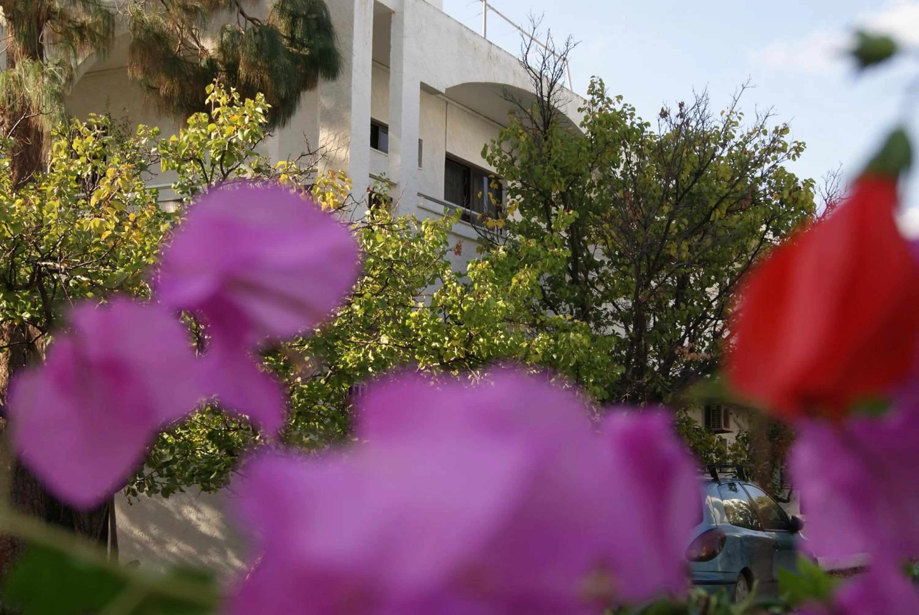 Property building in Thalassa Studios
