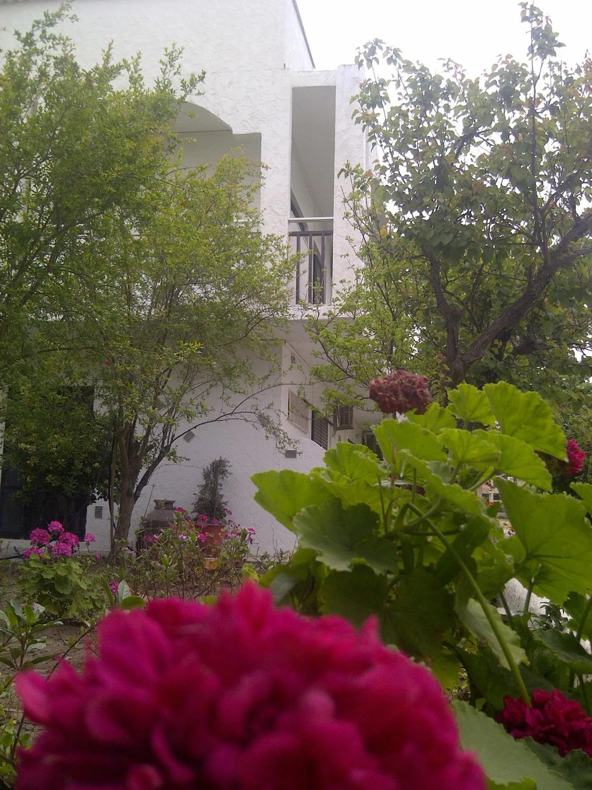 Property building in Thalassa Studios