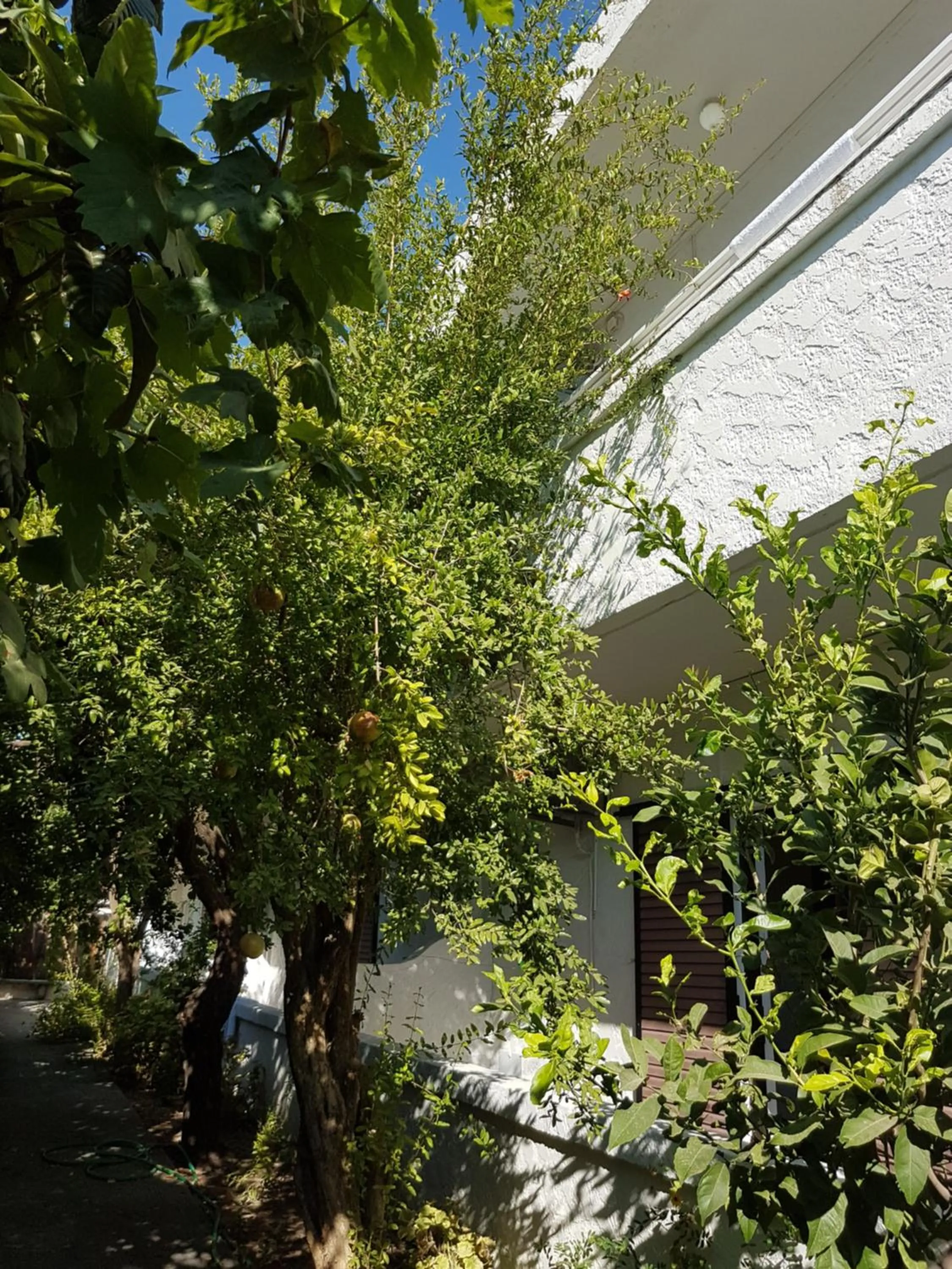 Thalassa Studios