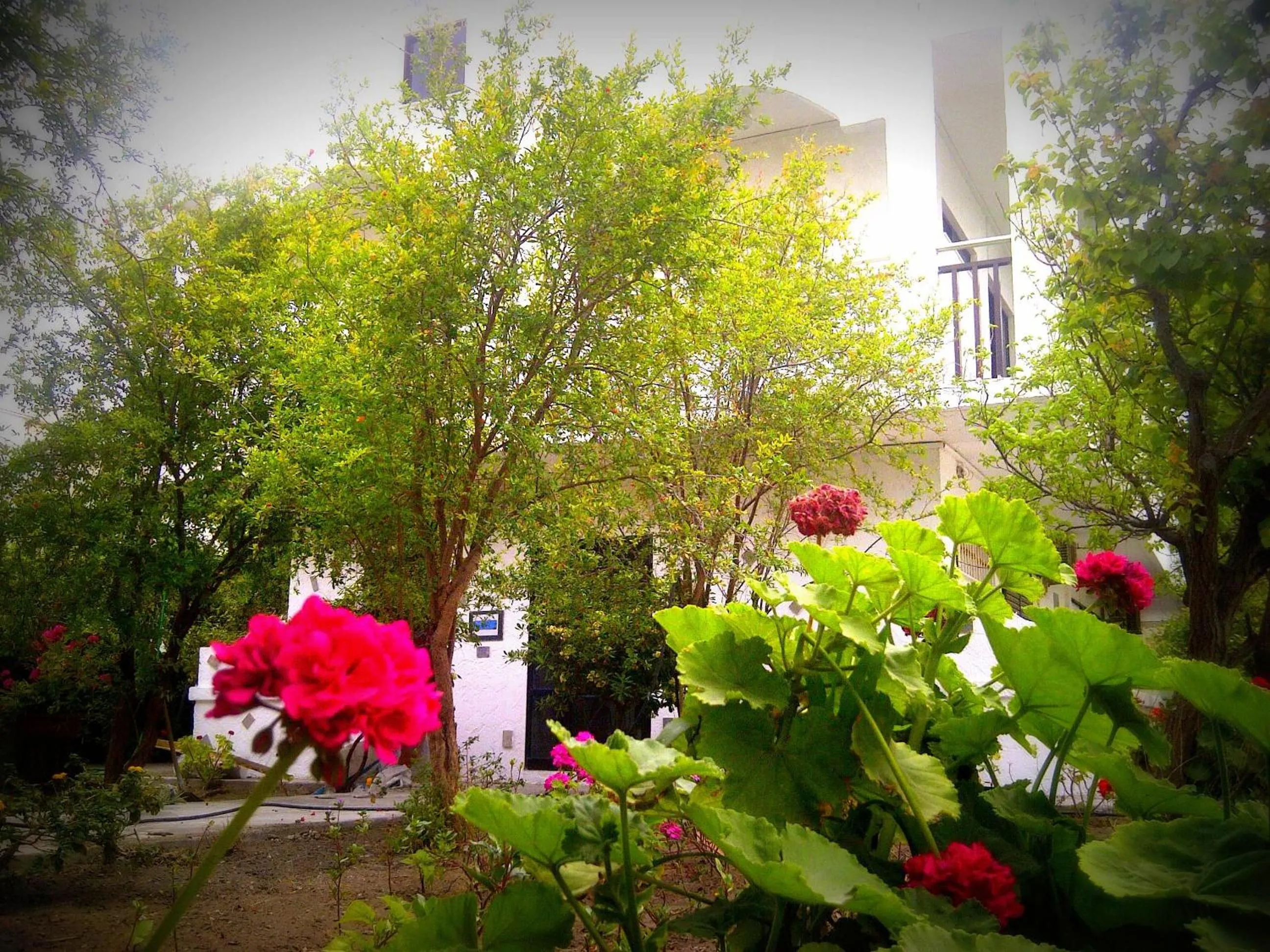Property building in Thalassa Studios