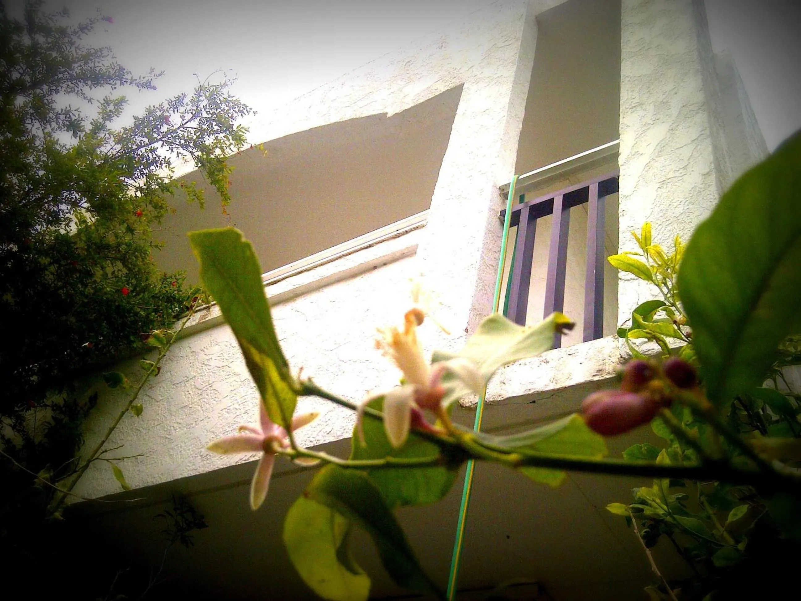 Property building in Thalassa Studios