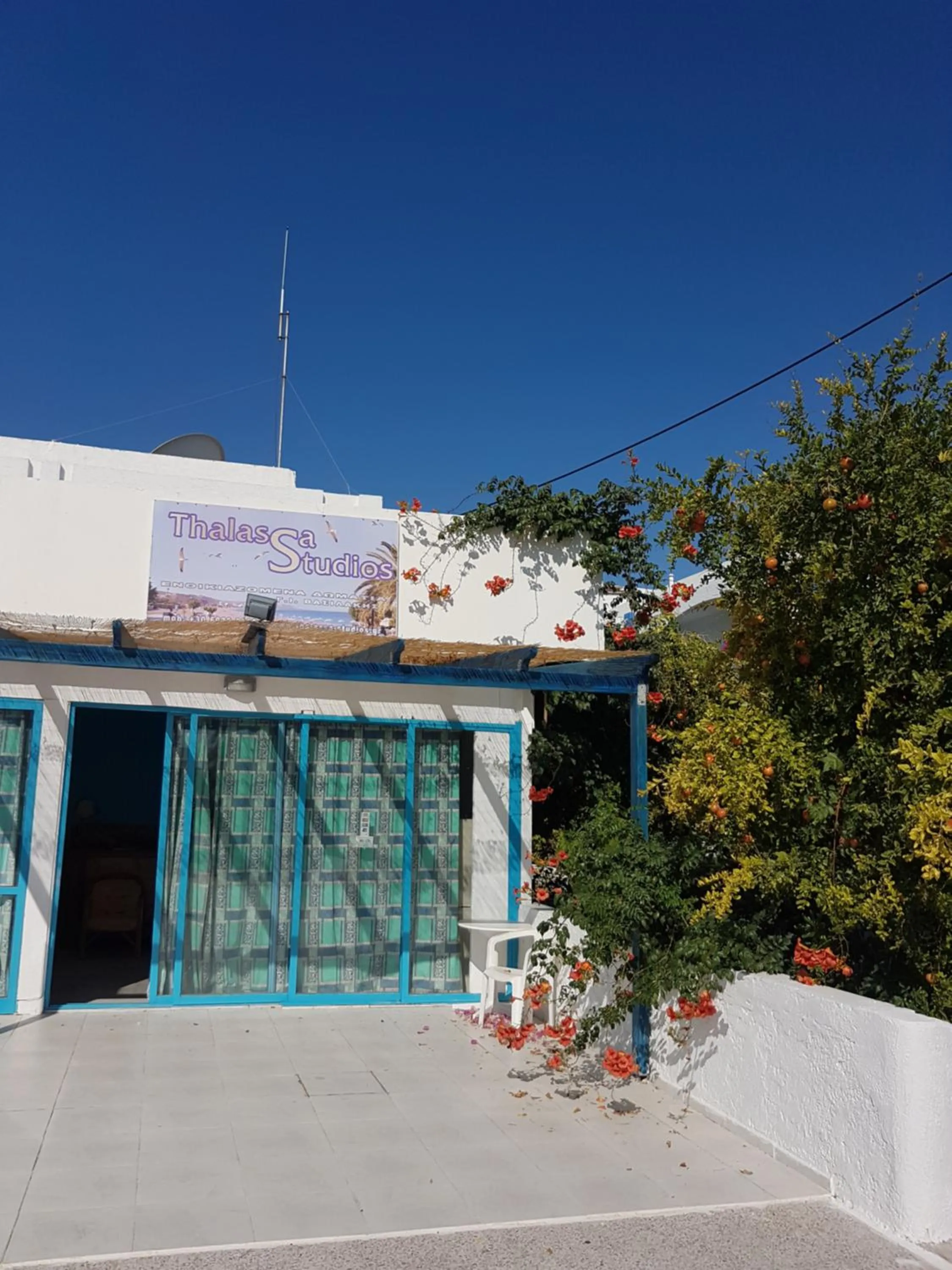 Thalassa Studios