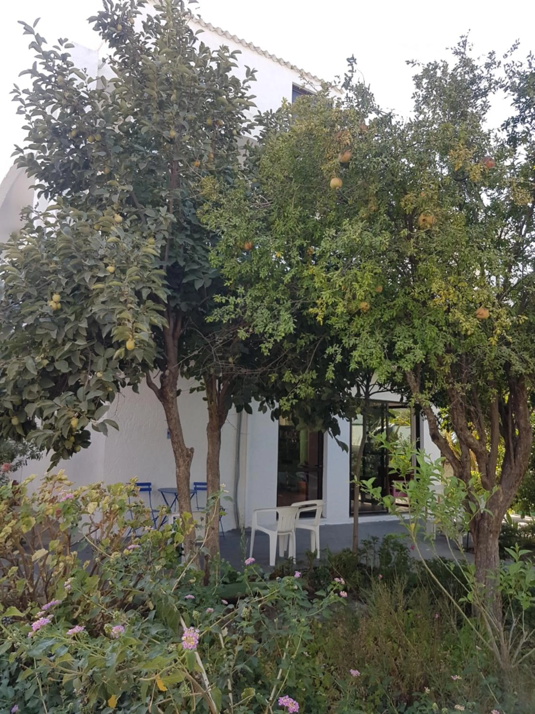 Thalassa Studios